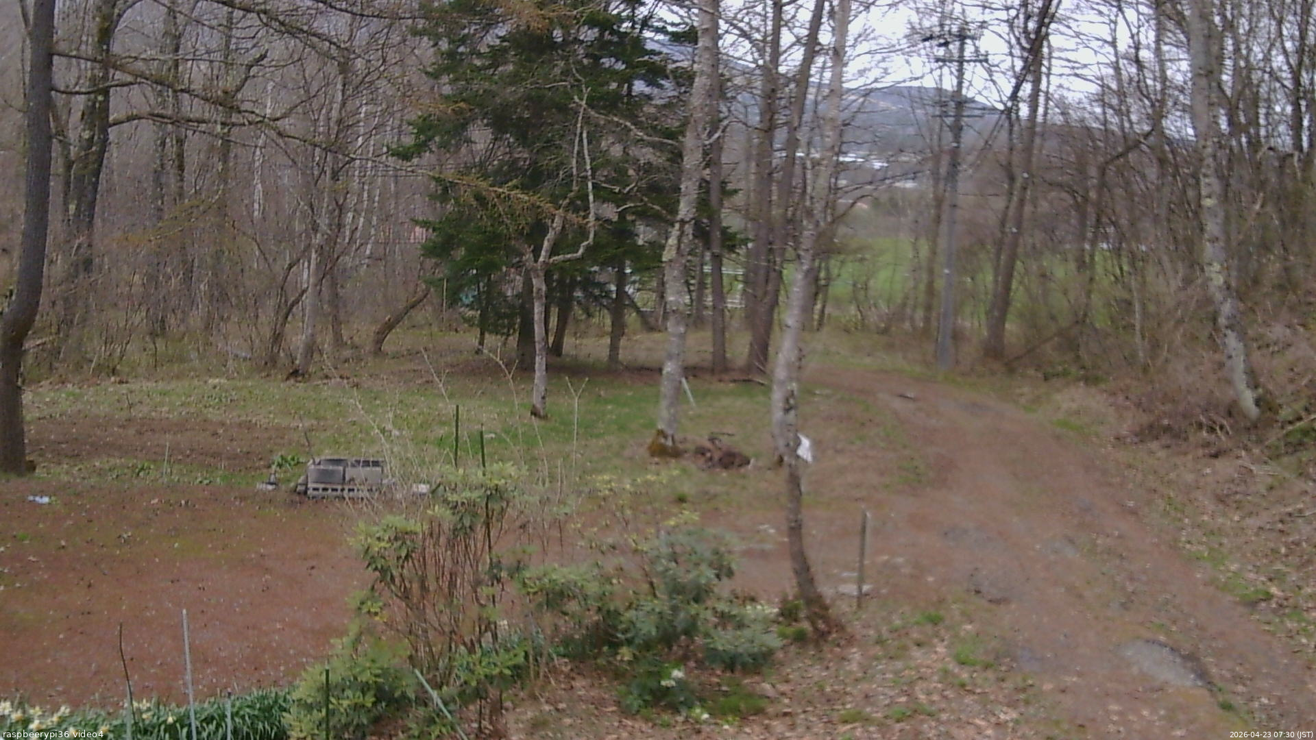 長野県菅平高原 ゆたか山荘 坂上 2026/04/23 07:30