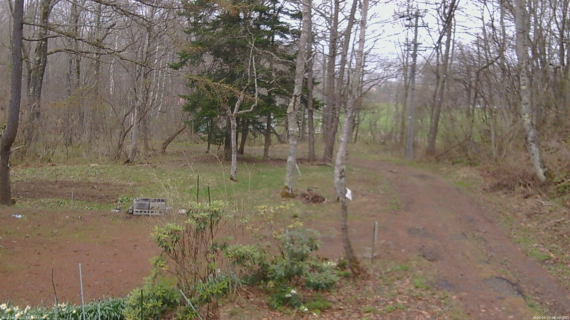長野県菅平高原 ゆたか山荘 坂上 2026/04/23 09:30