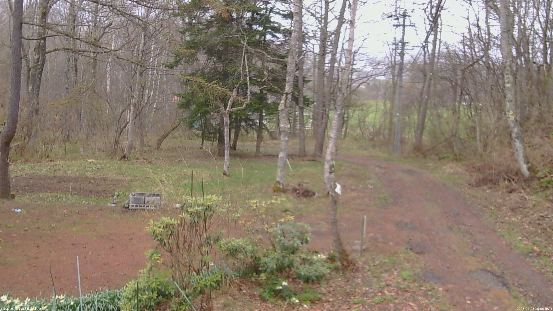長野県菅平高原 ゆたか山荘 坂上 2026/04/23 10:00