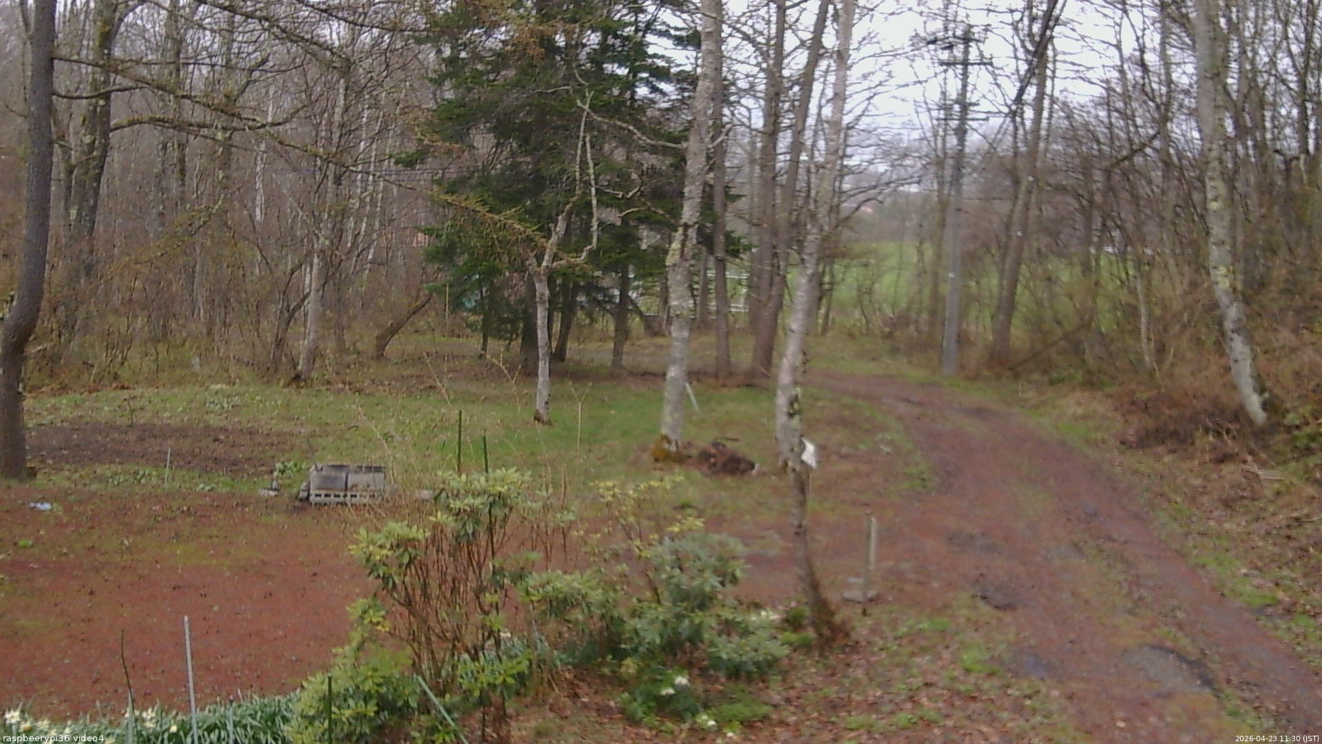 長野県菅平高原 ゆたか山荘 坂上 2026/04/23 11:30