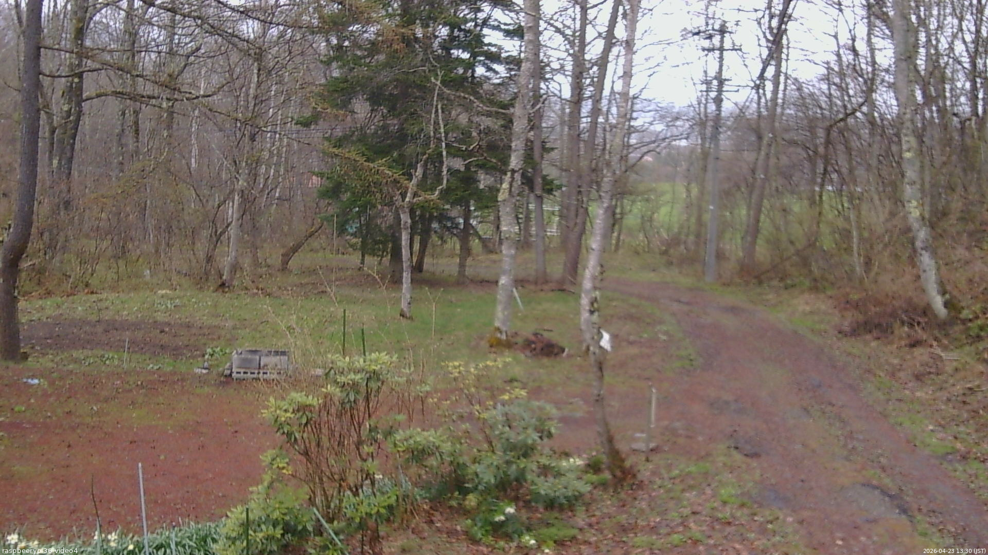 長野県菅平高原 ゆたか山荘 坂上 2026/04/23 13:30