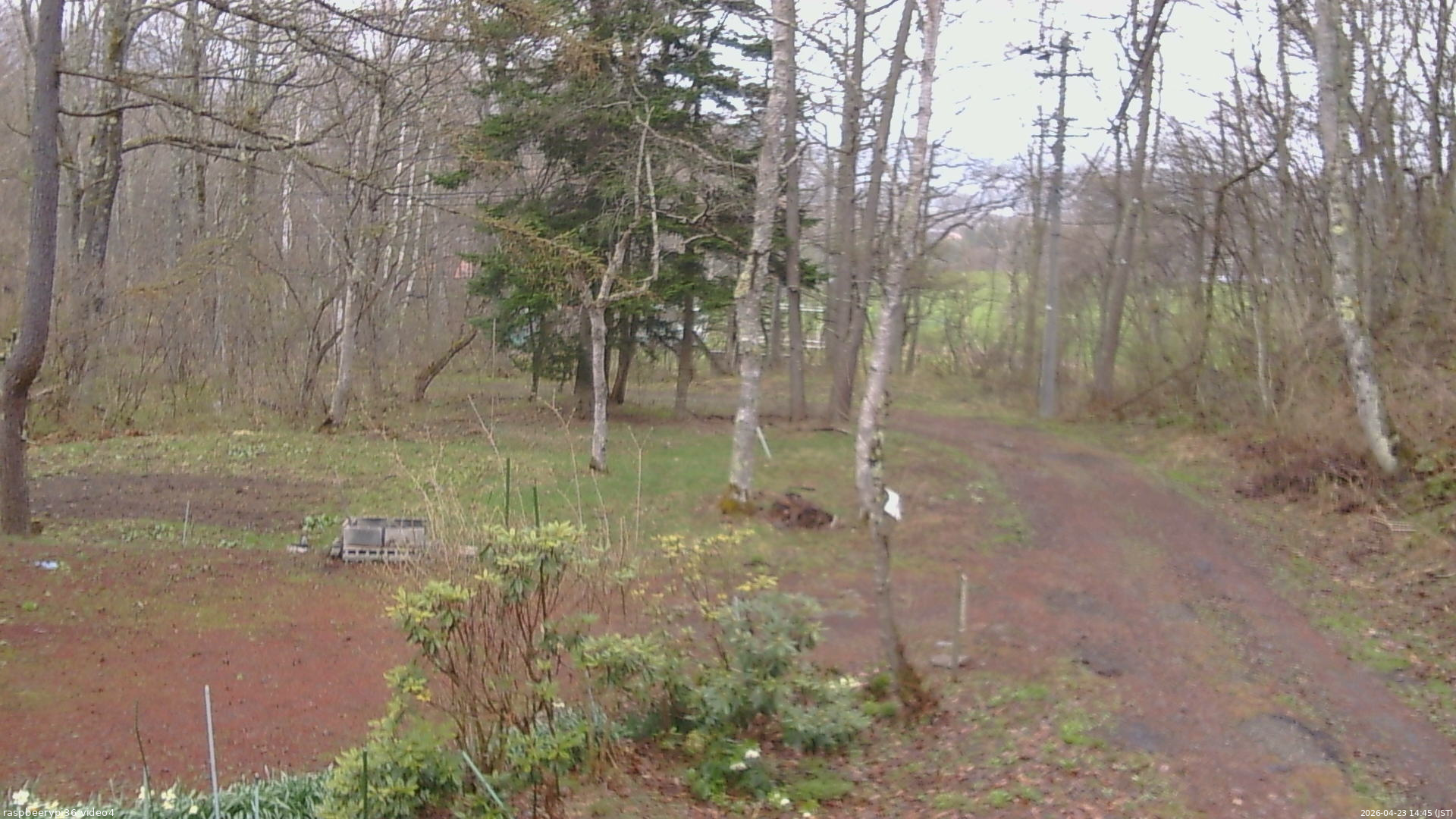 長野県菅平高原 ゆたか山荘 坂上 2026/04/23 14:45