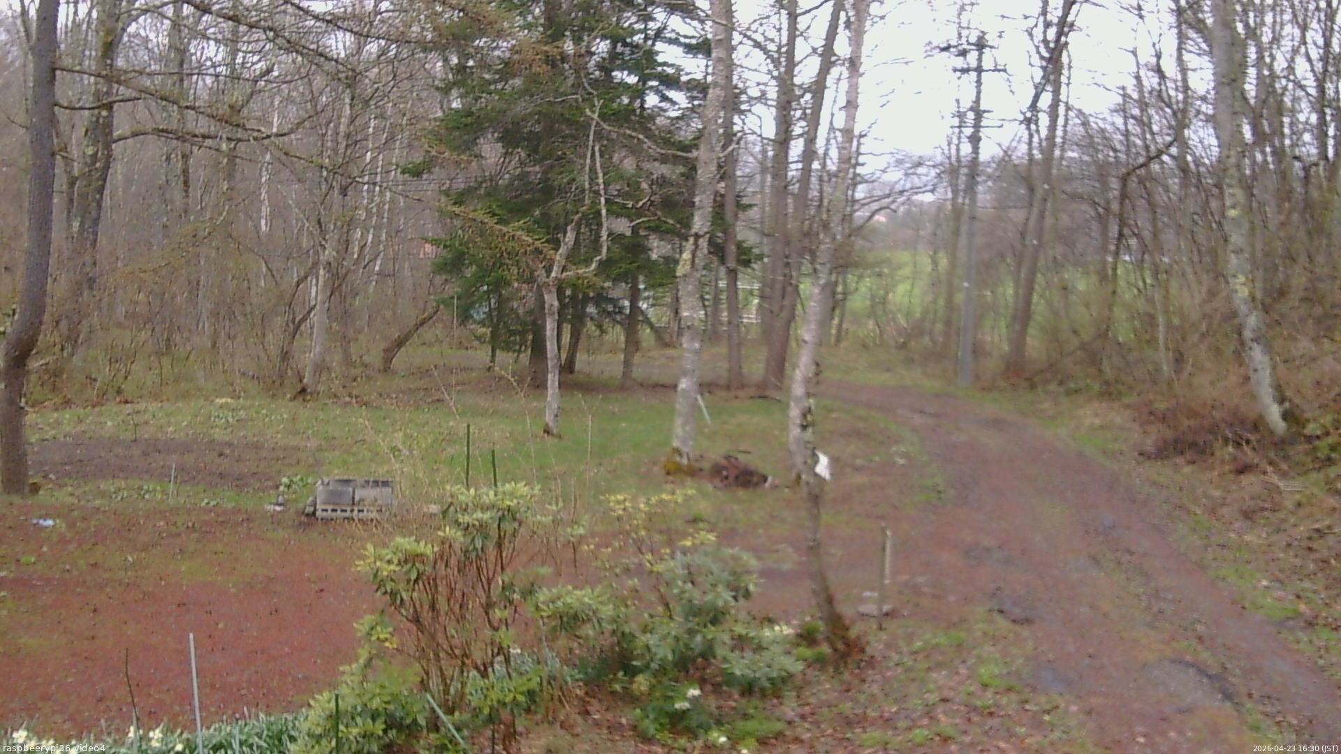 長野県菅平高原 ゆたか山荘 坂上 2026/04/23 16:30