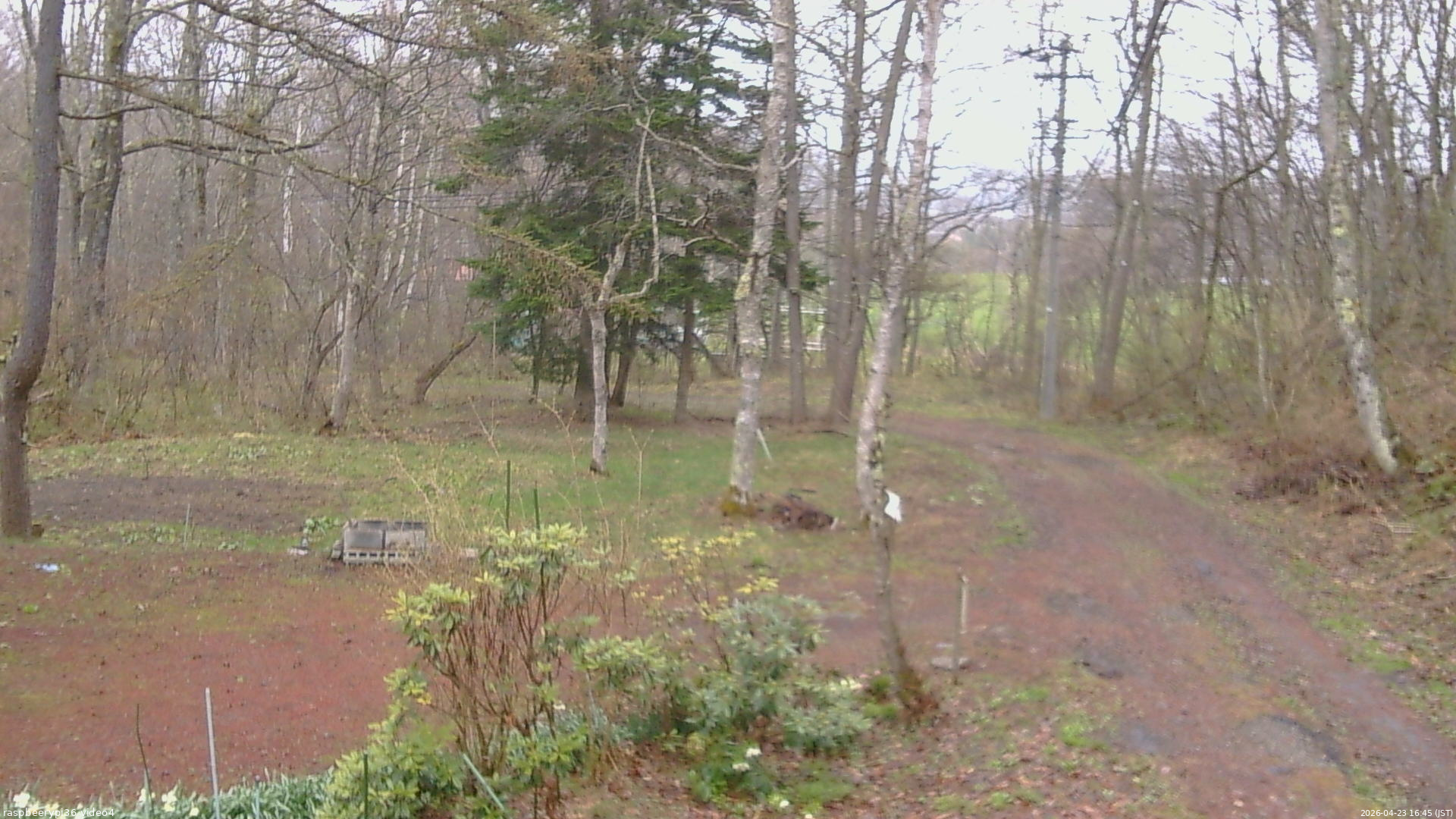 長野県菅平高原 ゆたか山荘 坂上 2026/04/23 16:45