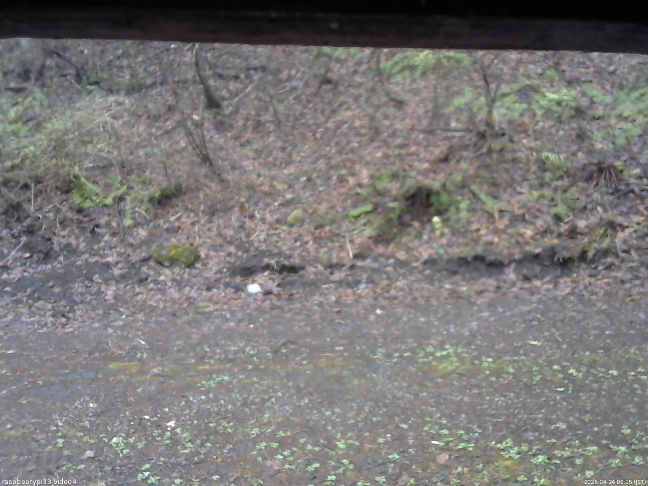 長野県菅平高原 ゆたか山荘 東側(坂下) 2026/04/24 06:15