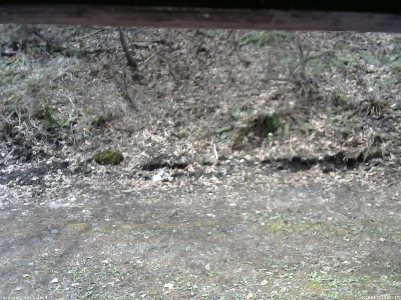 長野県菅平高原 ゆたか山荘 東側(坂下) 2026/04/24 10:00