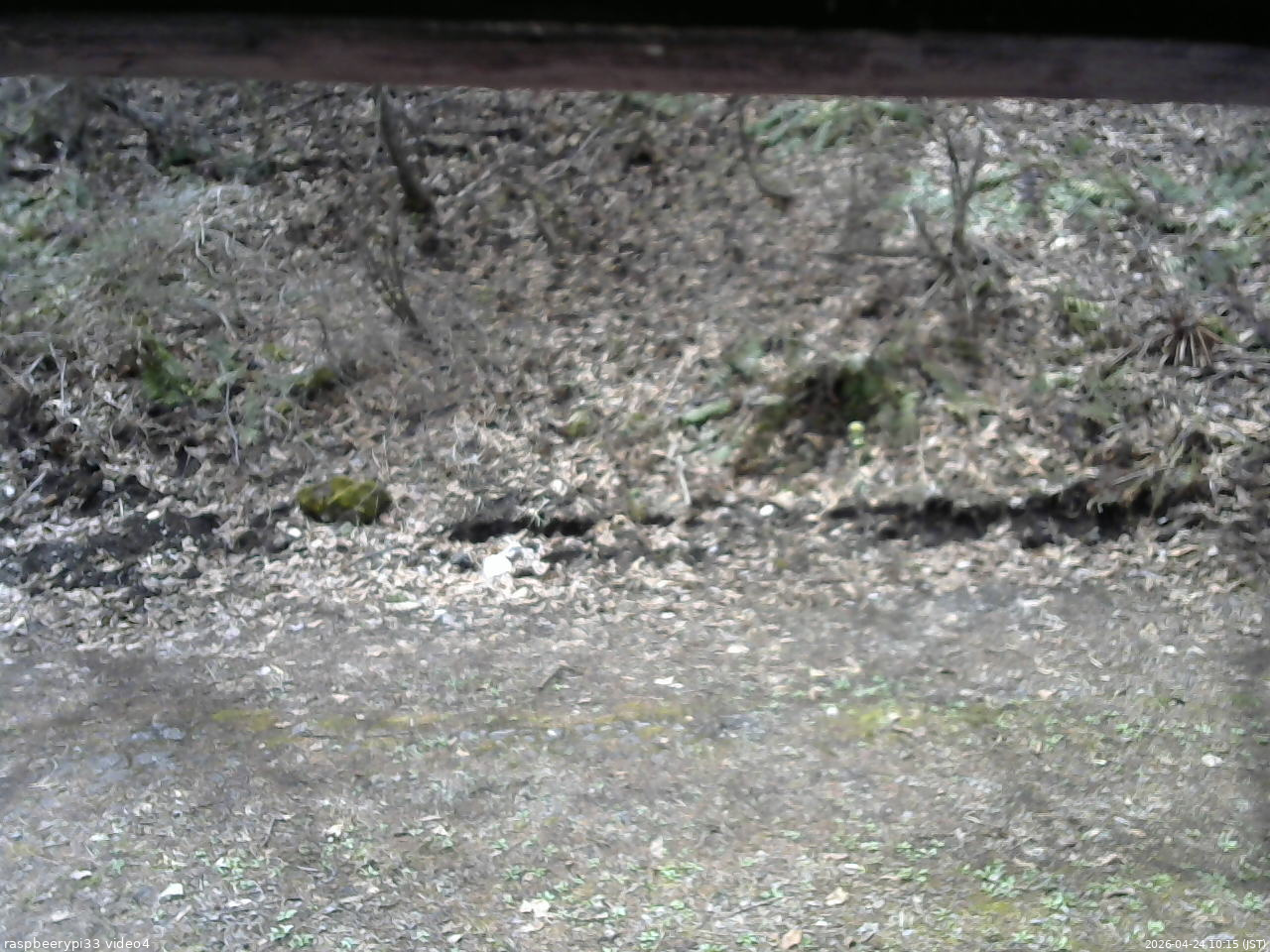 長野県菅平高原 ゆたか山荘 東側(坂下) 2026/04/24 10:15