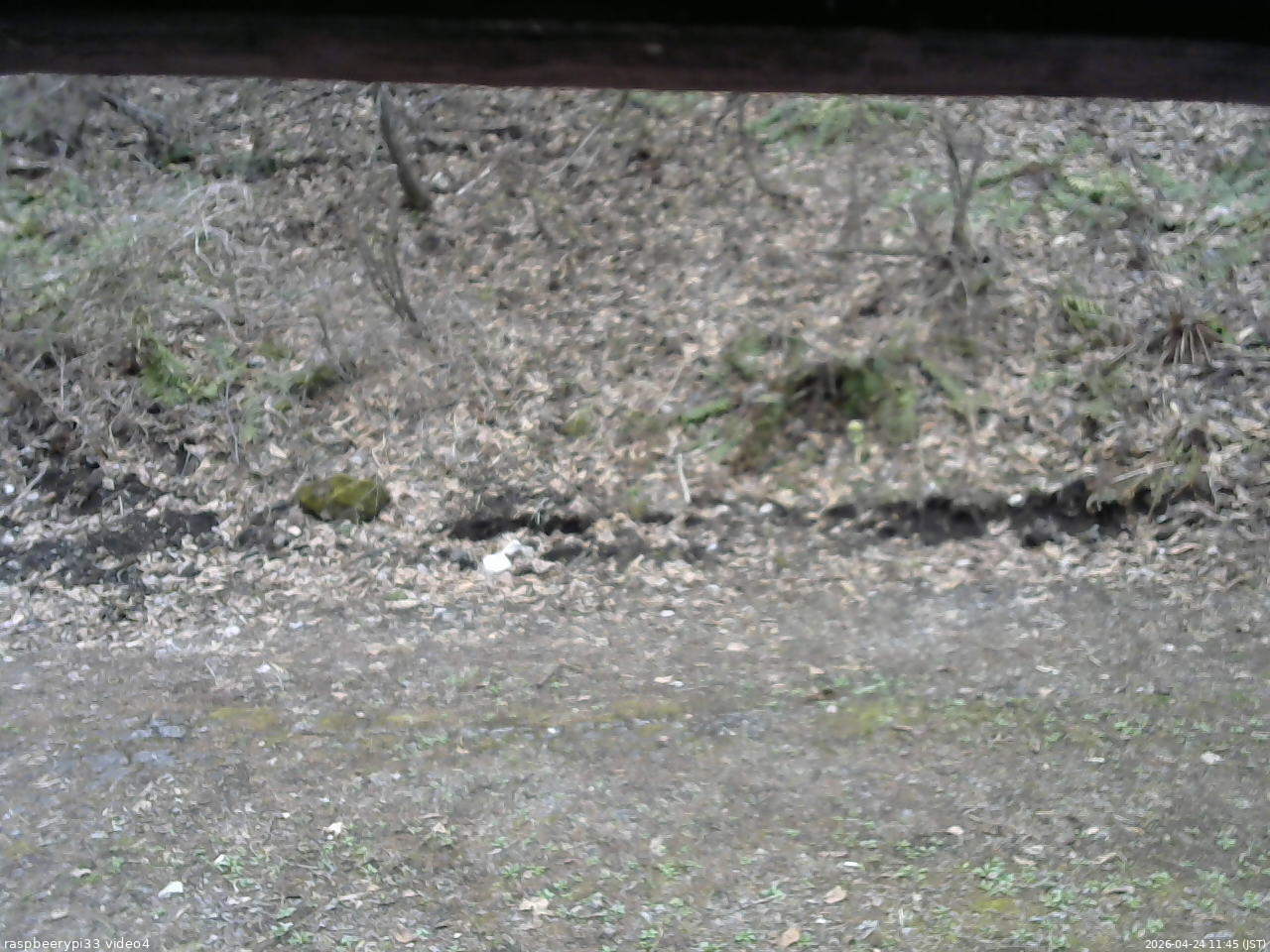 長野県菅平高原 ゆたか山荘 東側(坂下) 2026/04/24 11:45
