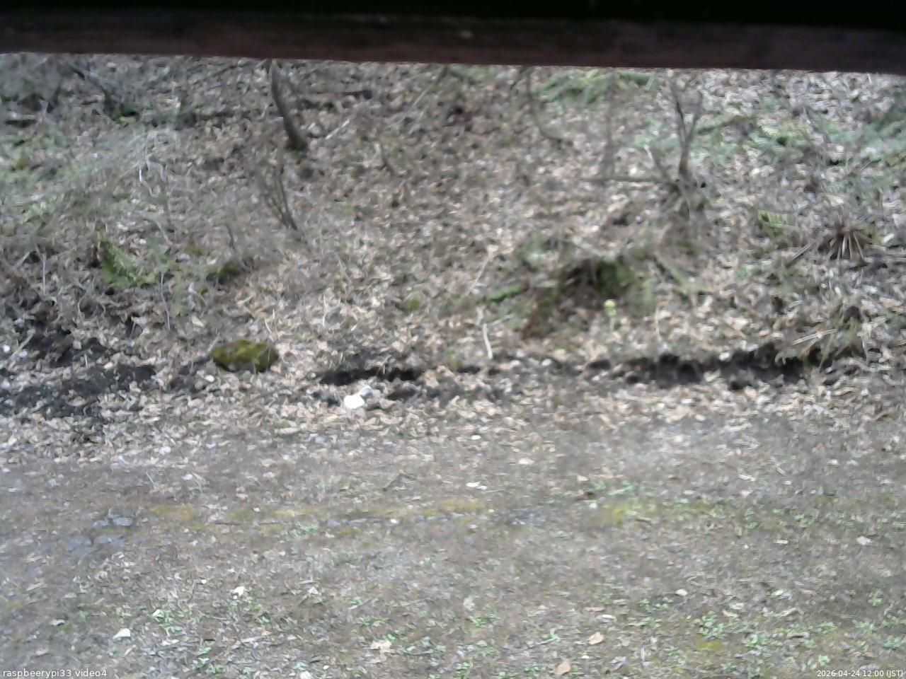 長野県菅平高原 ゆたか山荘 東側(坂下) 2026/04/24 12:00