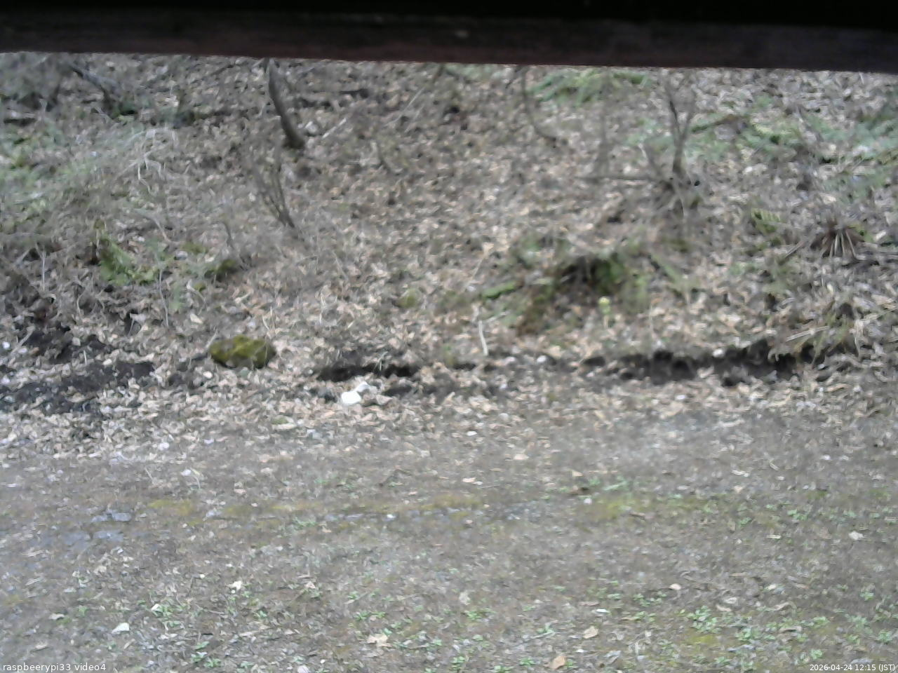 長野県菅平高原 ゆたか山荘 東側(坂下) 2026/04/24 12:15