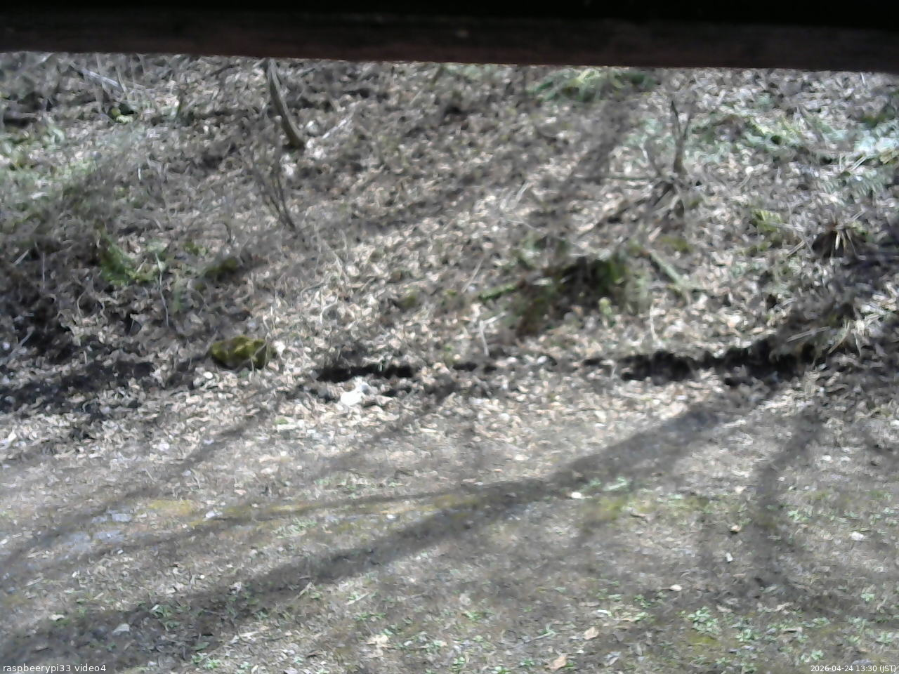 長野県菅平高原 ゆたか山荘 東側(坂下) 2026/04/24 13:30