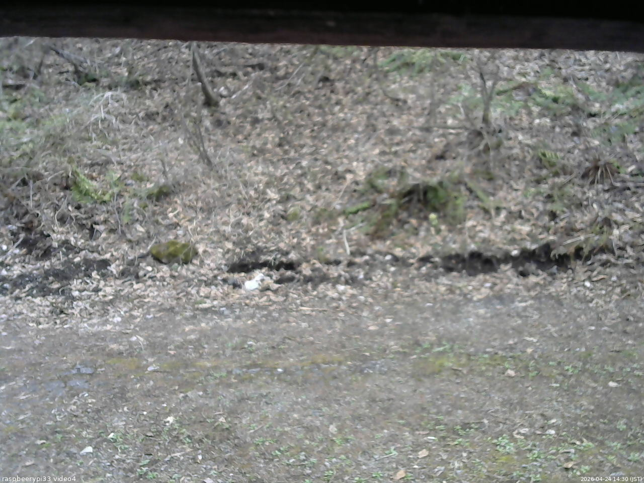 長野県菅平高原 ゆたか山荘 東側(坂下) 2026/04/24 14:30
