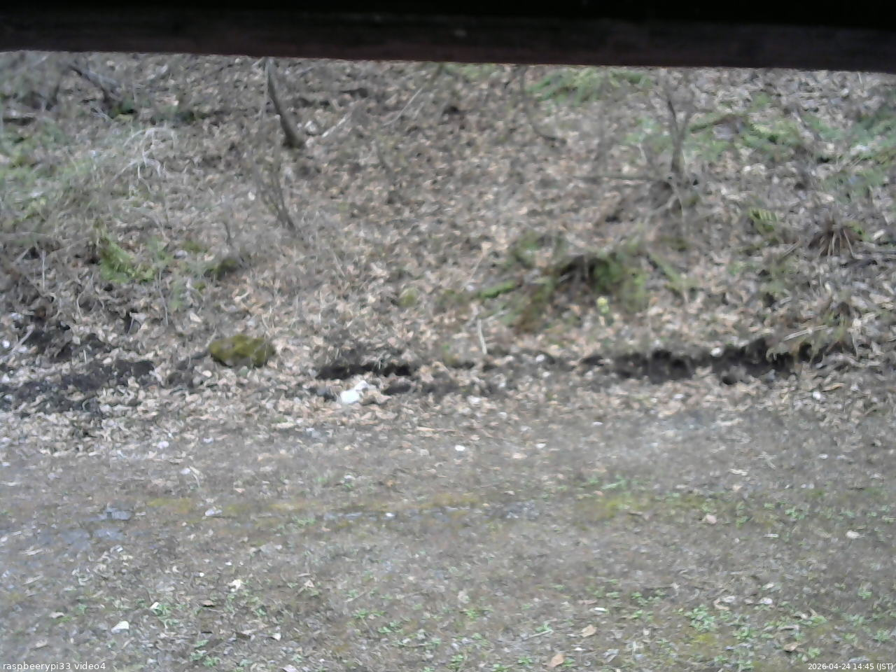 長野県菅平高原 ゆたか山荘 東側(坂下) 2026/04/24 14:45