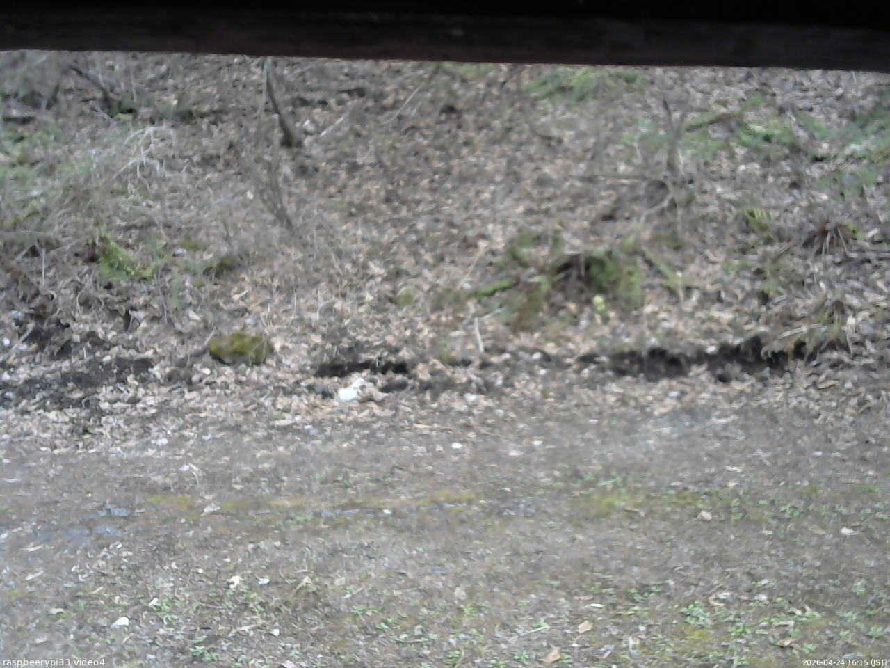長野県菅平高原 ゆたか山荘 東側(坂下) 2026/04/24 16:15