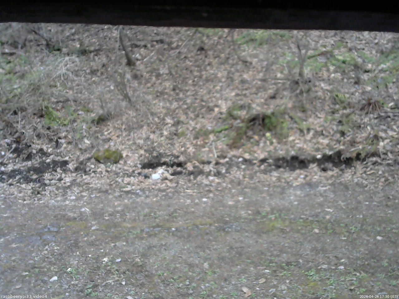 長野県菅平高原 ゆたか山荘 東側(坂下) 2026/04/24 17:30