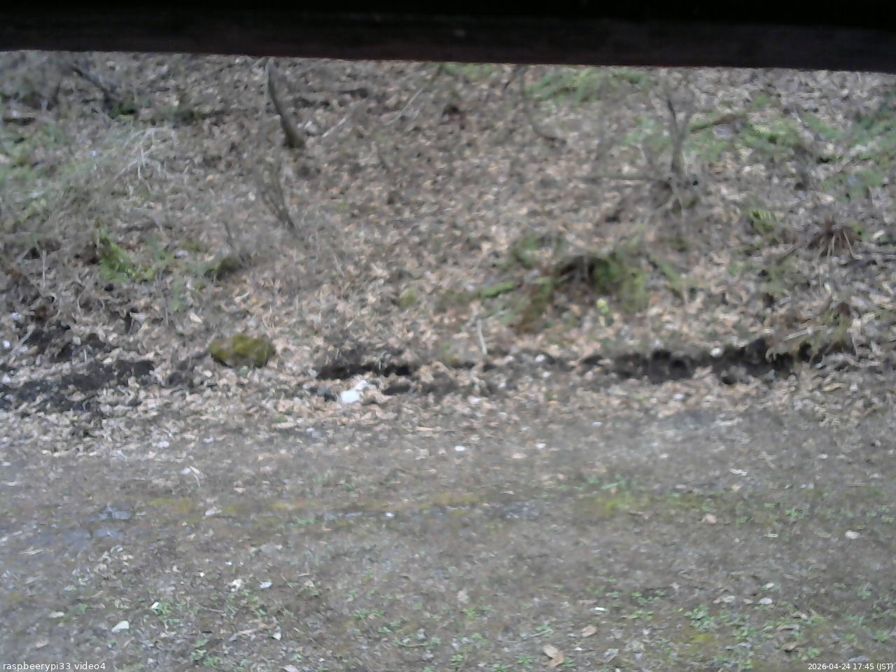 長野県菅平高原 ゆたか山荘 東側(坂下) 2026/04/24 17:45