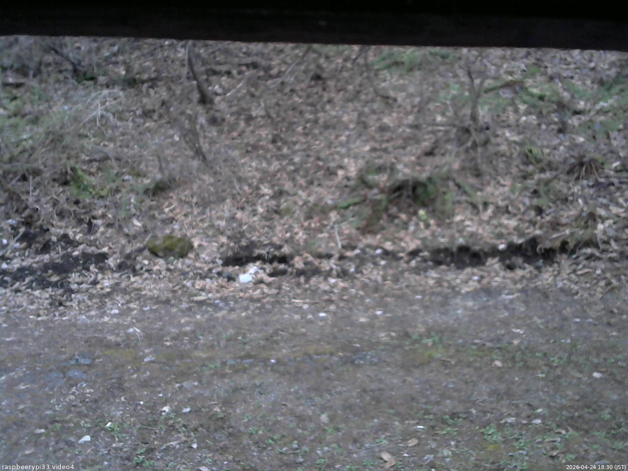 長野県菅平高原 ゆたか山荘 東側(坂下) 2026/04/24 18:30