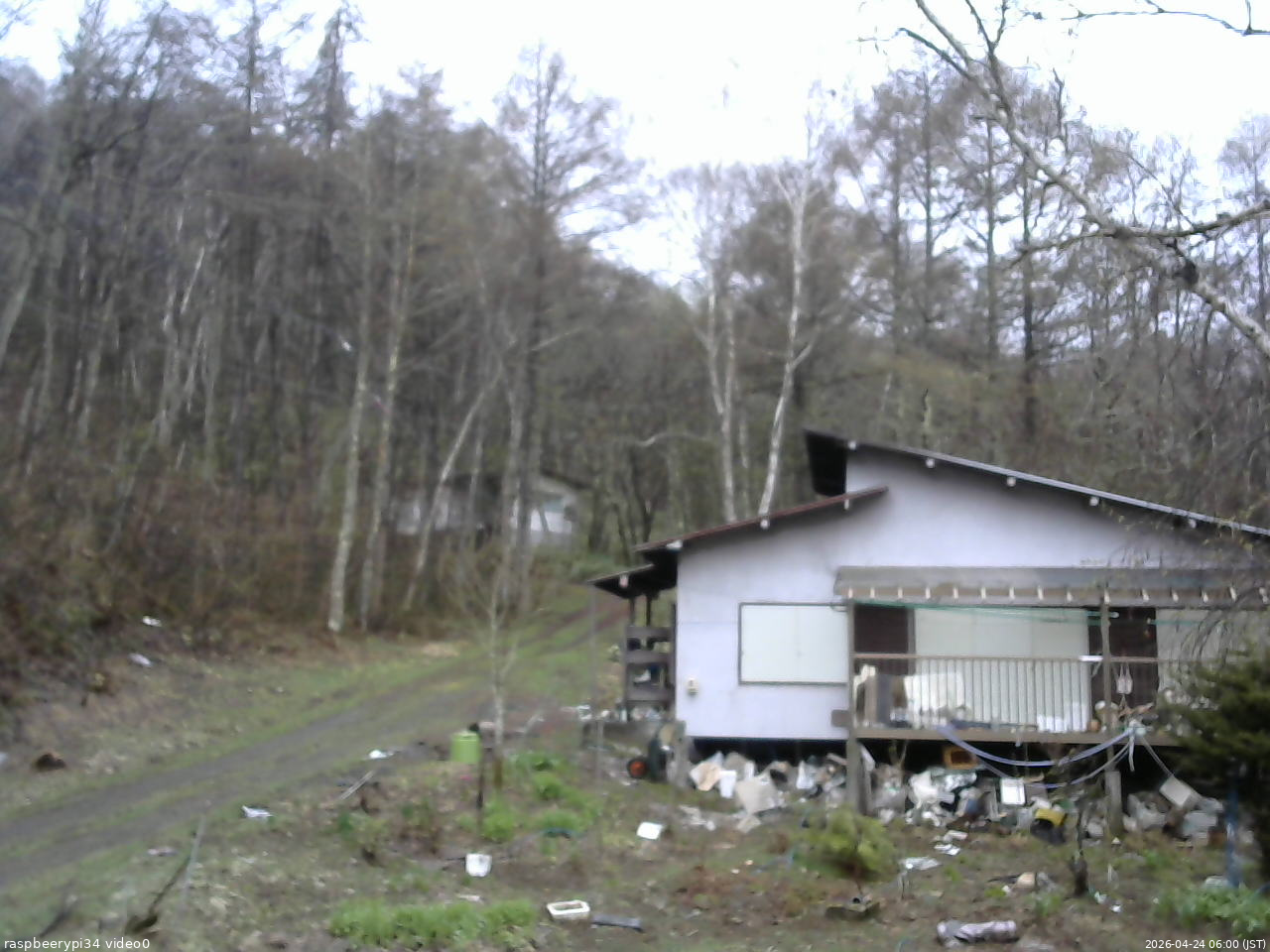 長野県菅平高原 ゆたか山荘 西側(坂上) 2026/04/24 06:00