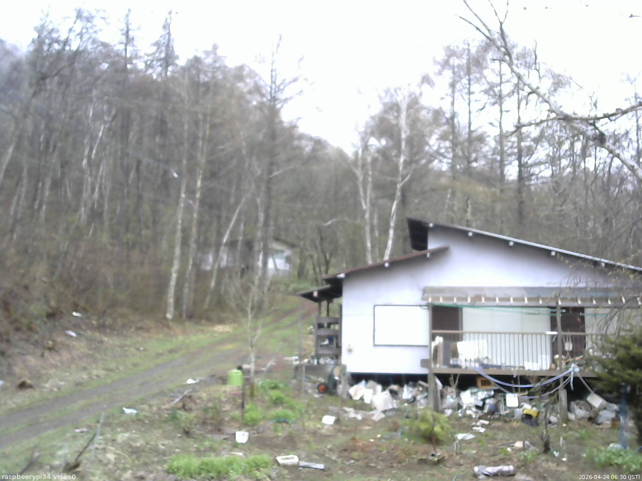 長野県菅平高原 ゆたか山荘 西側(坂上) 2026/04/24 06:30