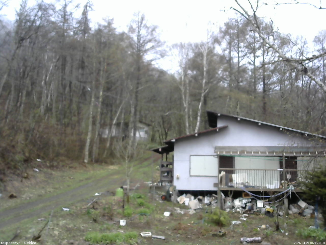 長野県菅平高原 ゆたか山荘 西側(坂上) 2026/04/24 06:45