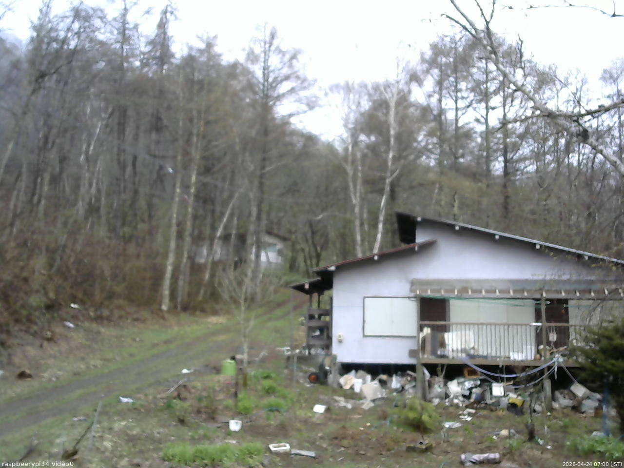 長野県菅平高原 ゆたか山荘 西側(坂上) 2026/04/24 07:00