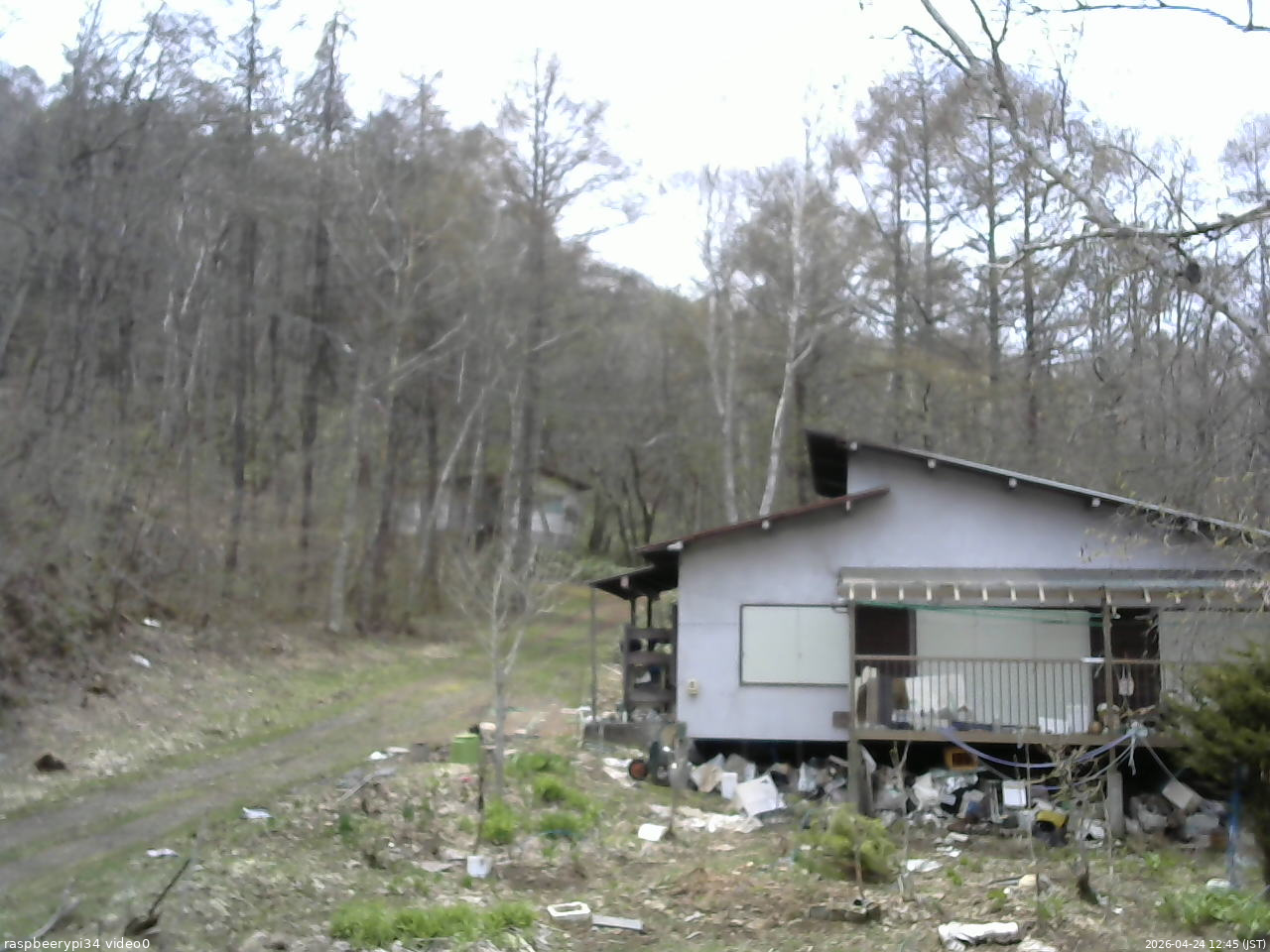 長野県菅平高原 ゆたか山荘 西側(坂上) 2026/04/24 12:45