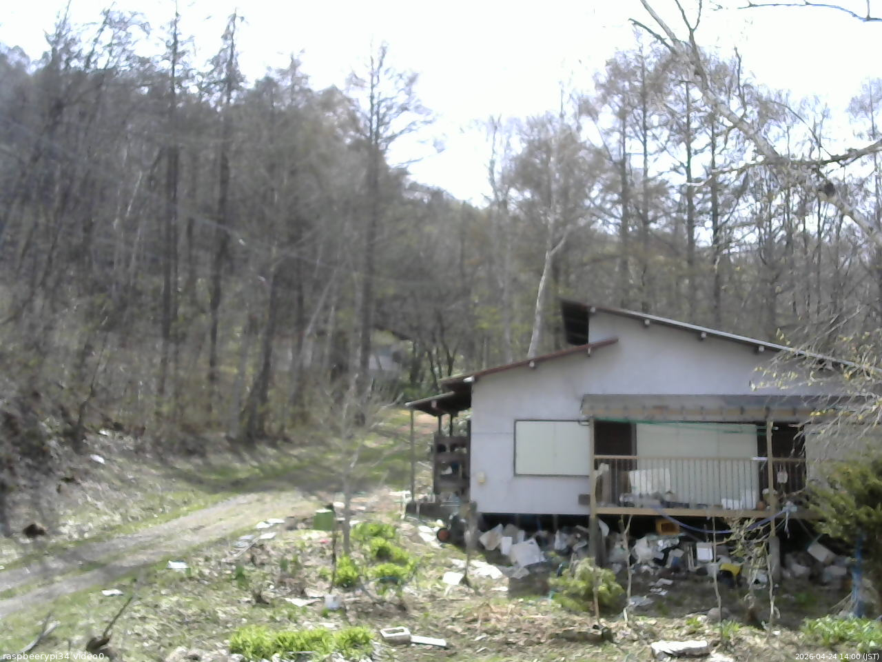長野県菅平高原 ゆたか山荘 西側(坂上) 2026/04/24 14:00