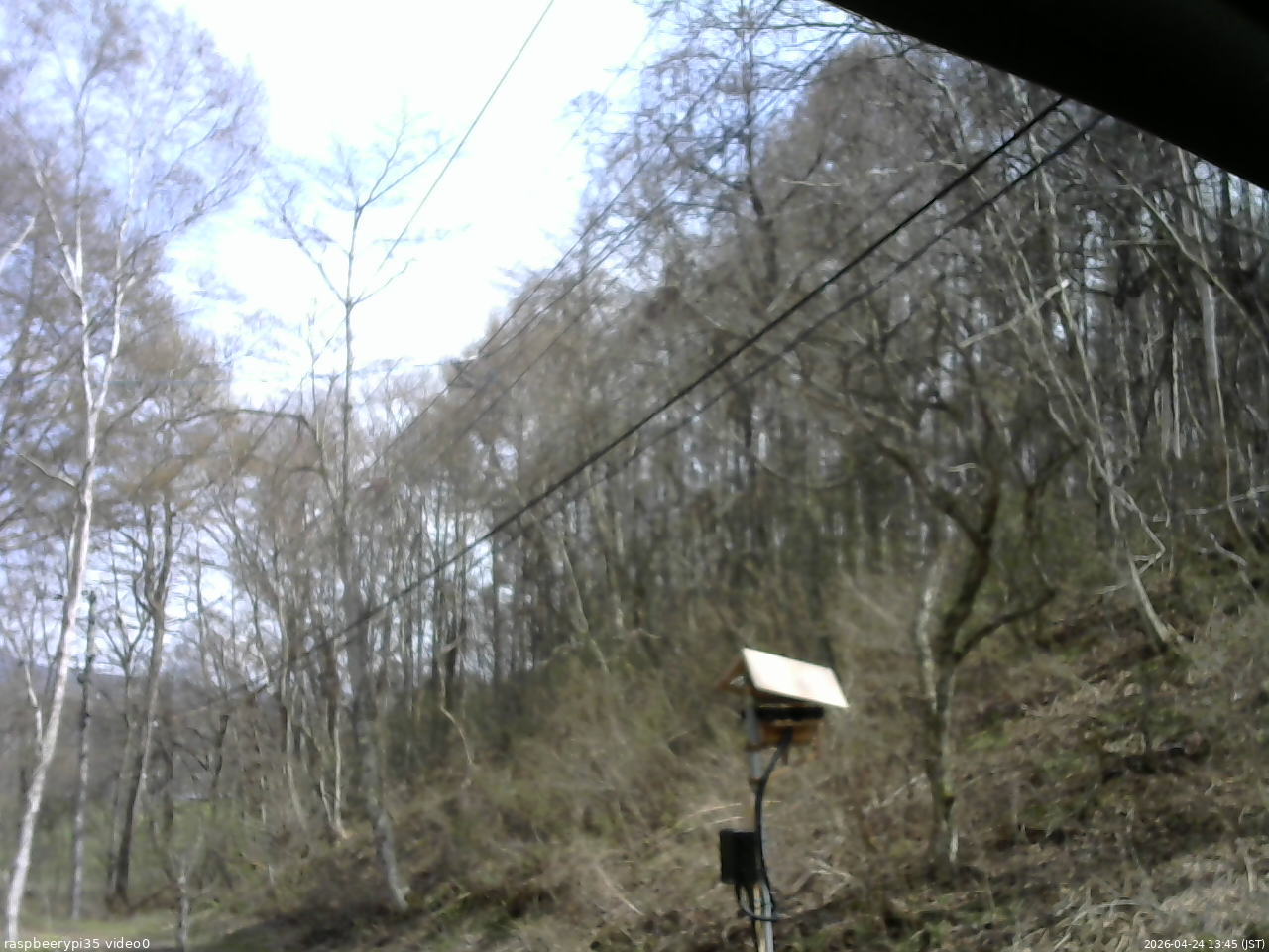 長野県菅平高原 ゆたか山荘 温度計 2026/04/24 13:45