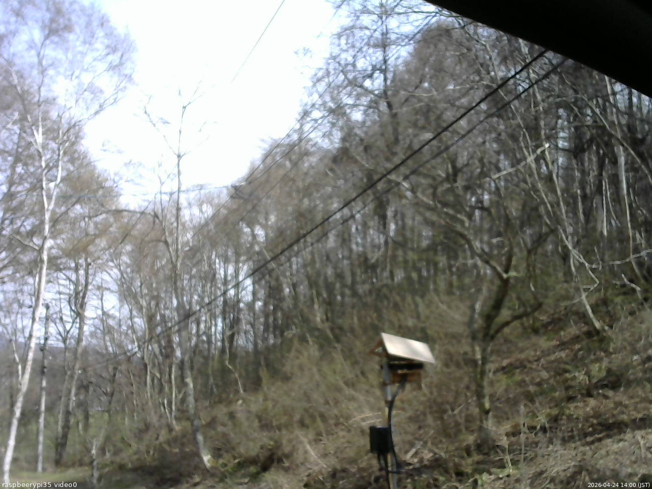 長野県菅平高原 ゆたか山荘 温度計 2026/04/24 14:00