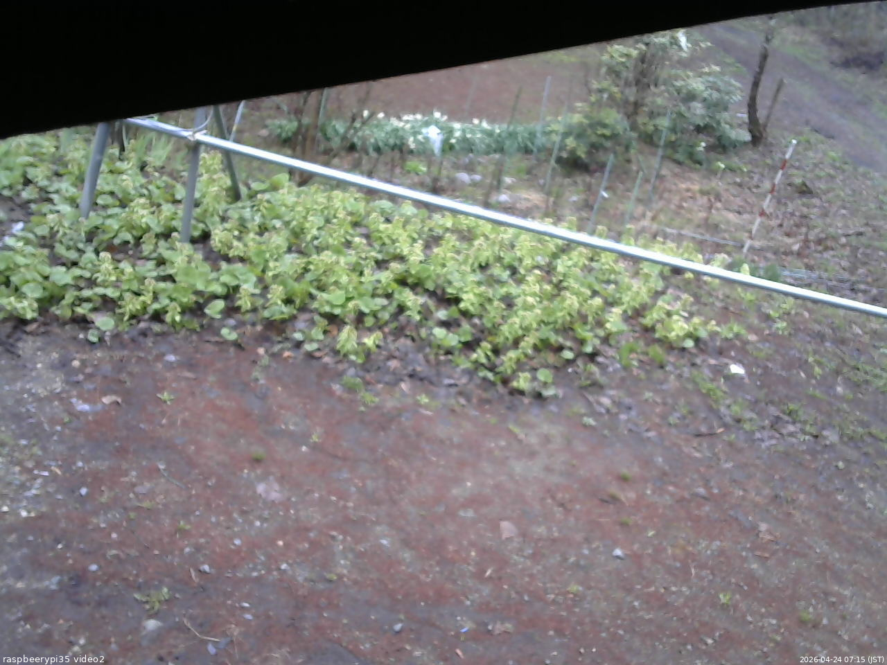 長野県菅平高原 ゆたか山荘 駐車場 2026/04/24 07:15