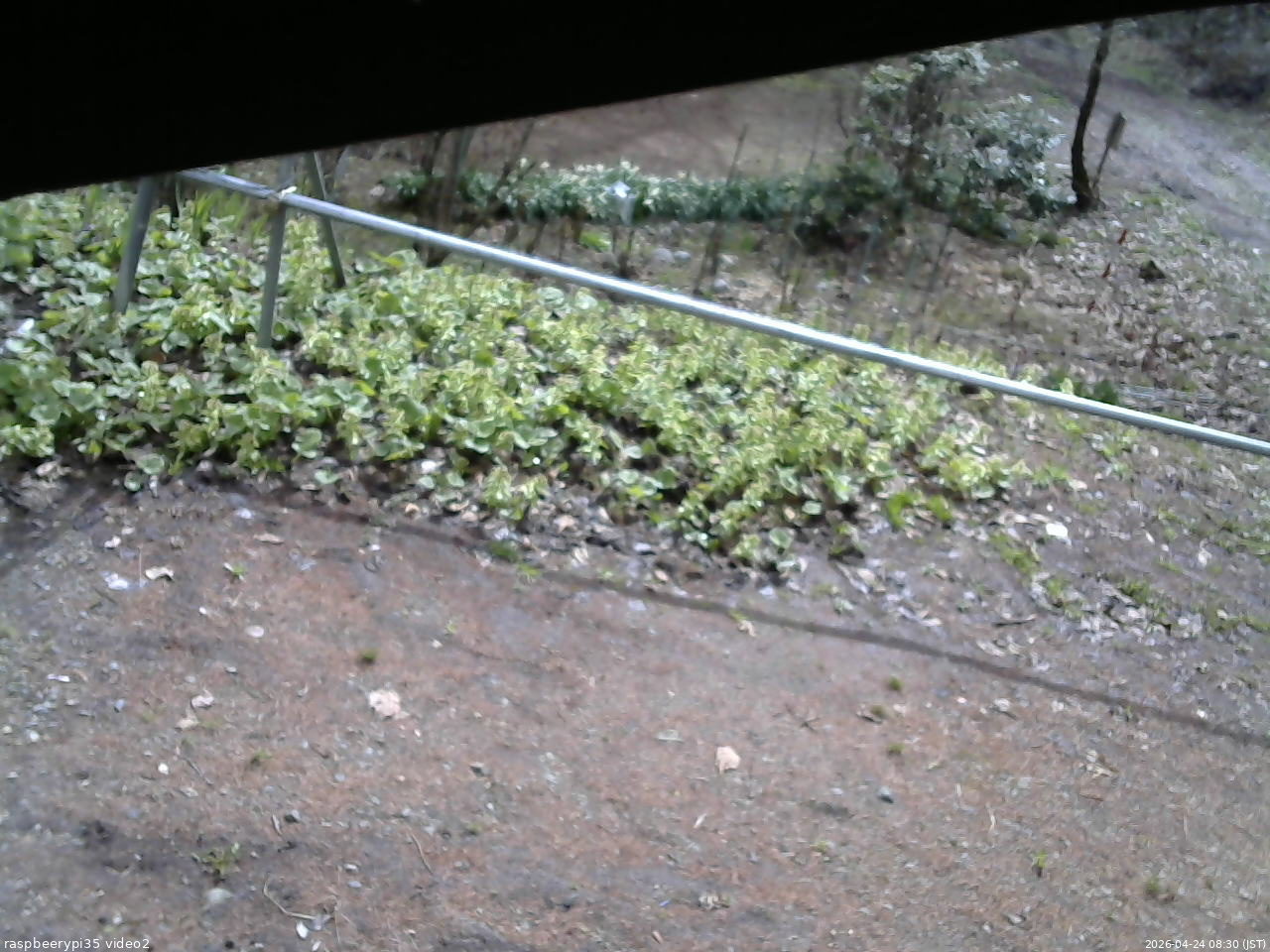 長野県菅平高原 ゆたか山荘 駐車場 2026/04/24 08:30