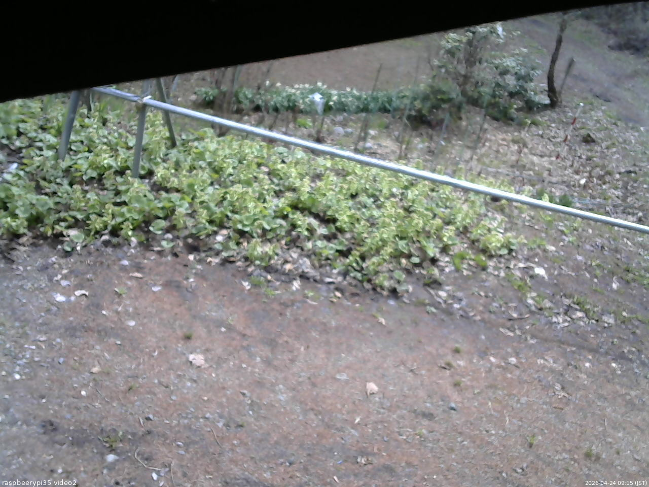 長野県菅平高原 ゆたか山荘 駐車場 2026/04/24 09:15