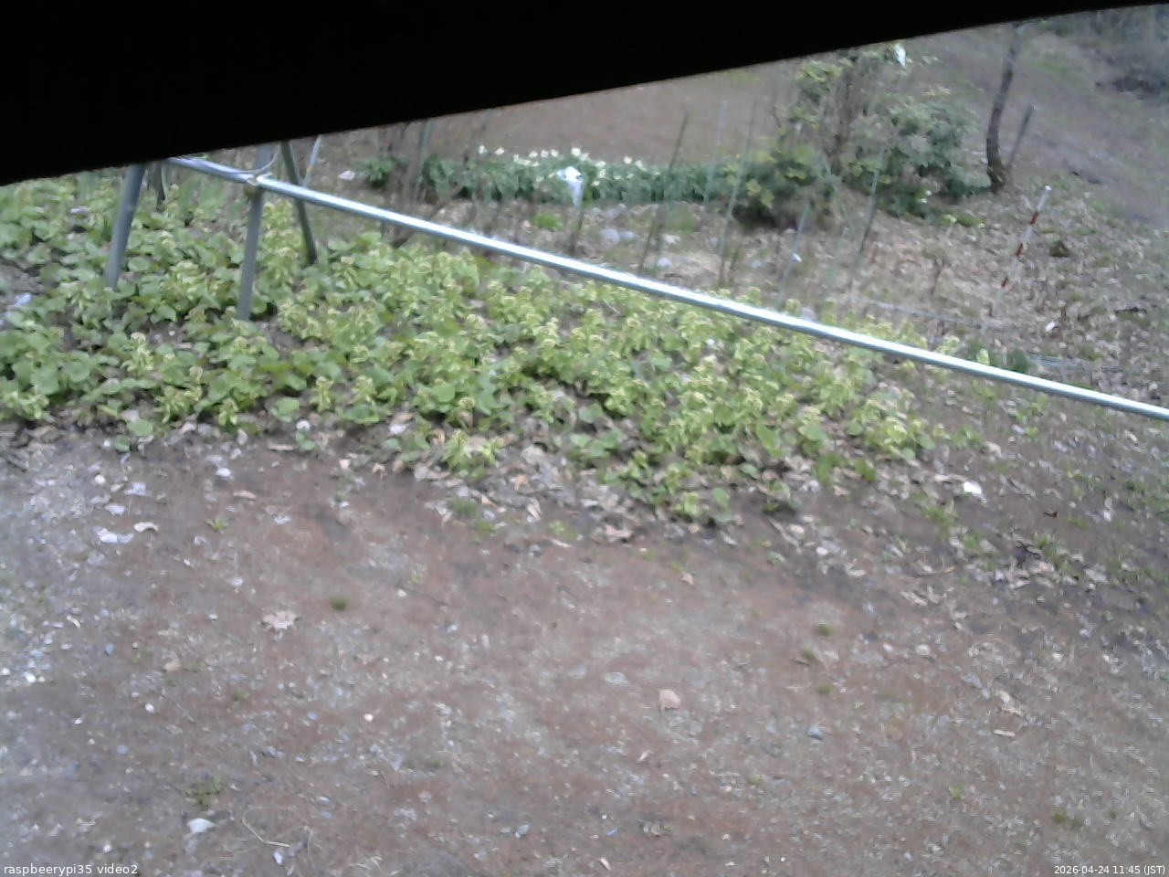 長野県菅平高原 ゆたか山荘 駐車場 2026/04/24 11:45