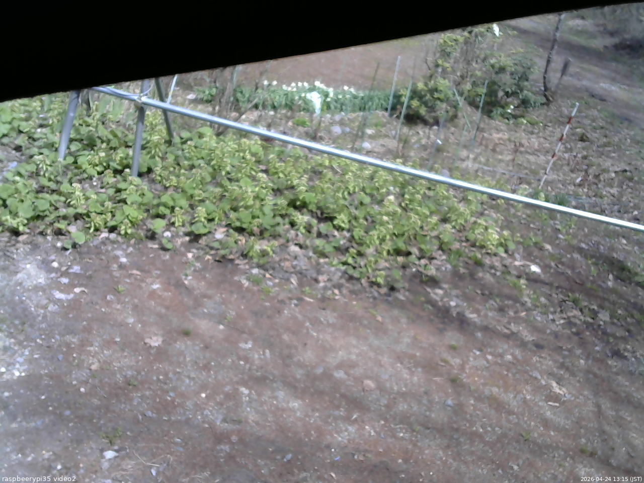 長野県菅平高原 ゆたか山荘 駐車場 2026/04/24 13:15