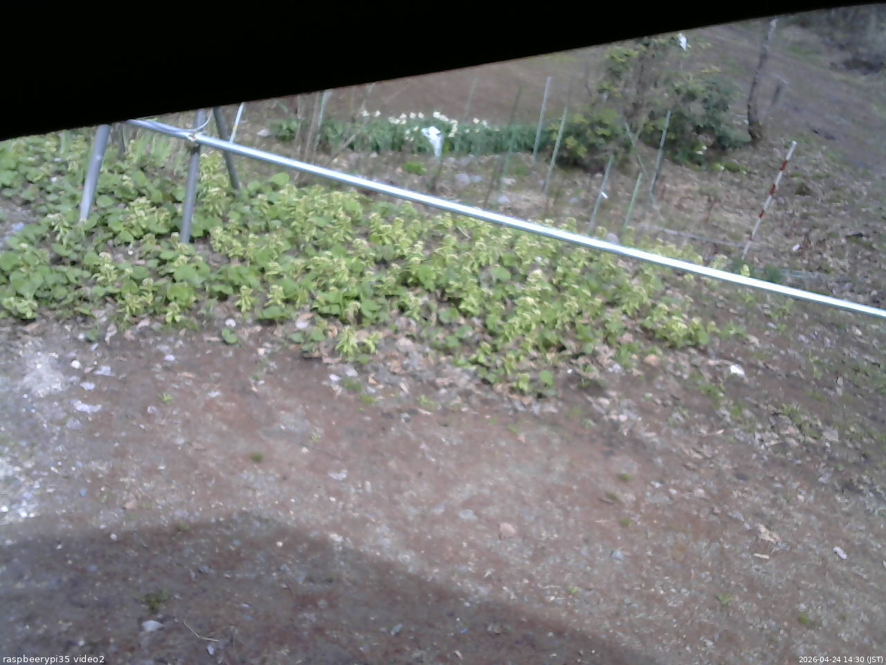 長野県菅平高原 ゆたか山荘 駐車場 2026/04/24 14:30