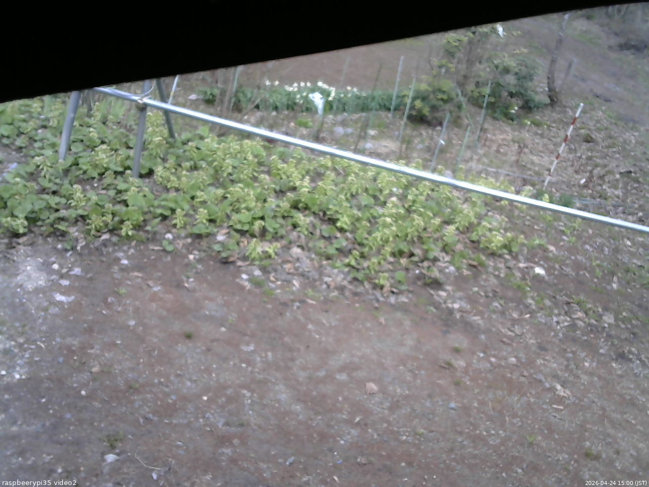 長野県菅平高原 ゆたか山荘 駐車場 2026/04/24 15:00