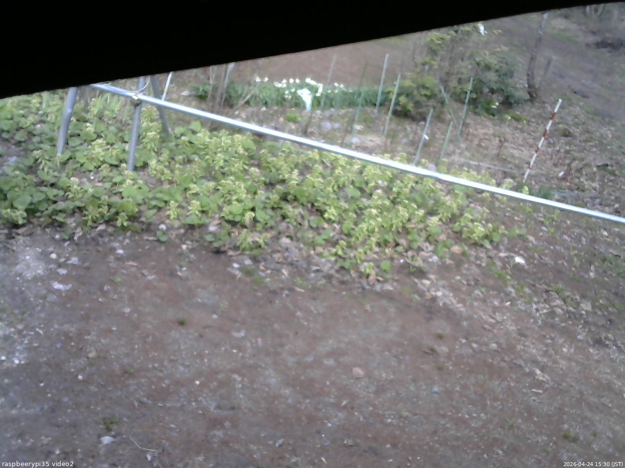 長野県菅平高原 ゆたか山荘 駐車場 2026/04/24 15:30
