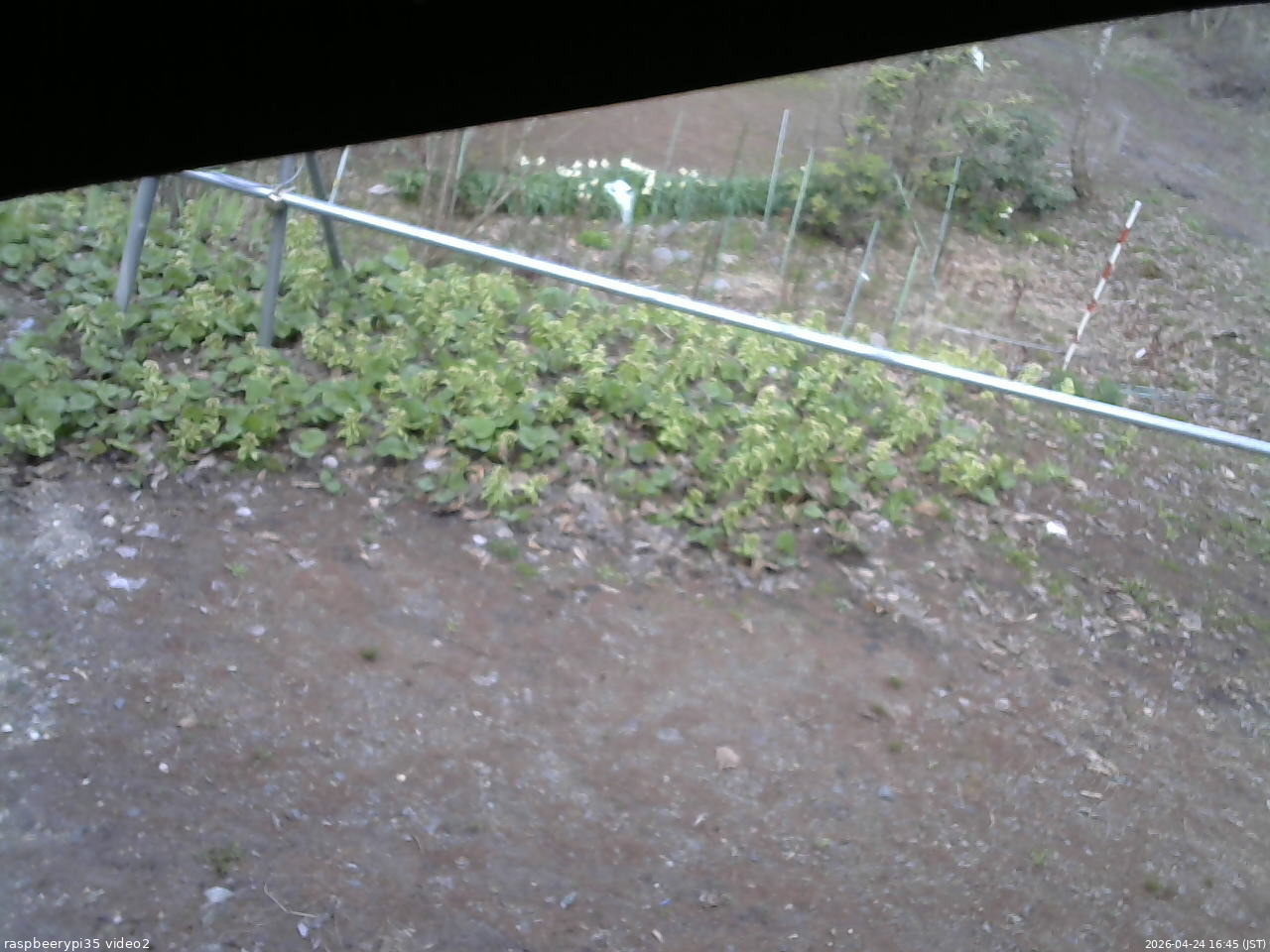長野県菅平高原 ゆたか山荘 駐車場 2026/04/24 16:45