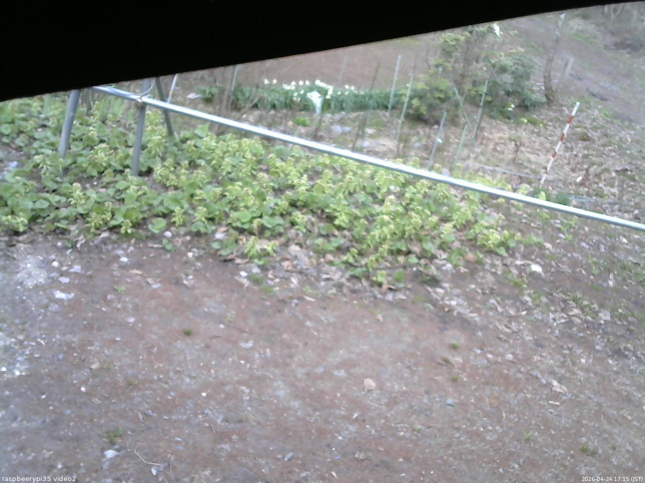 長野県菅平高原 ゆたか山荘 駐車場 2026/04/24 17:15