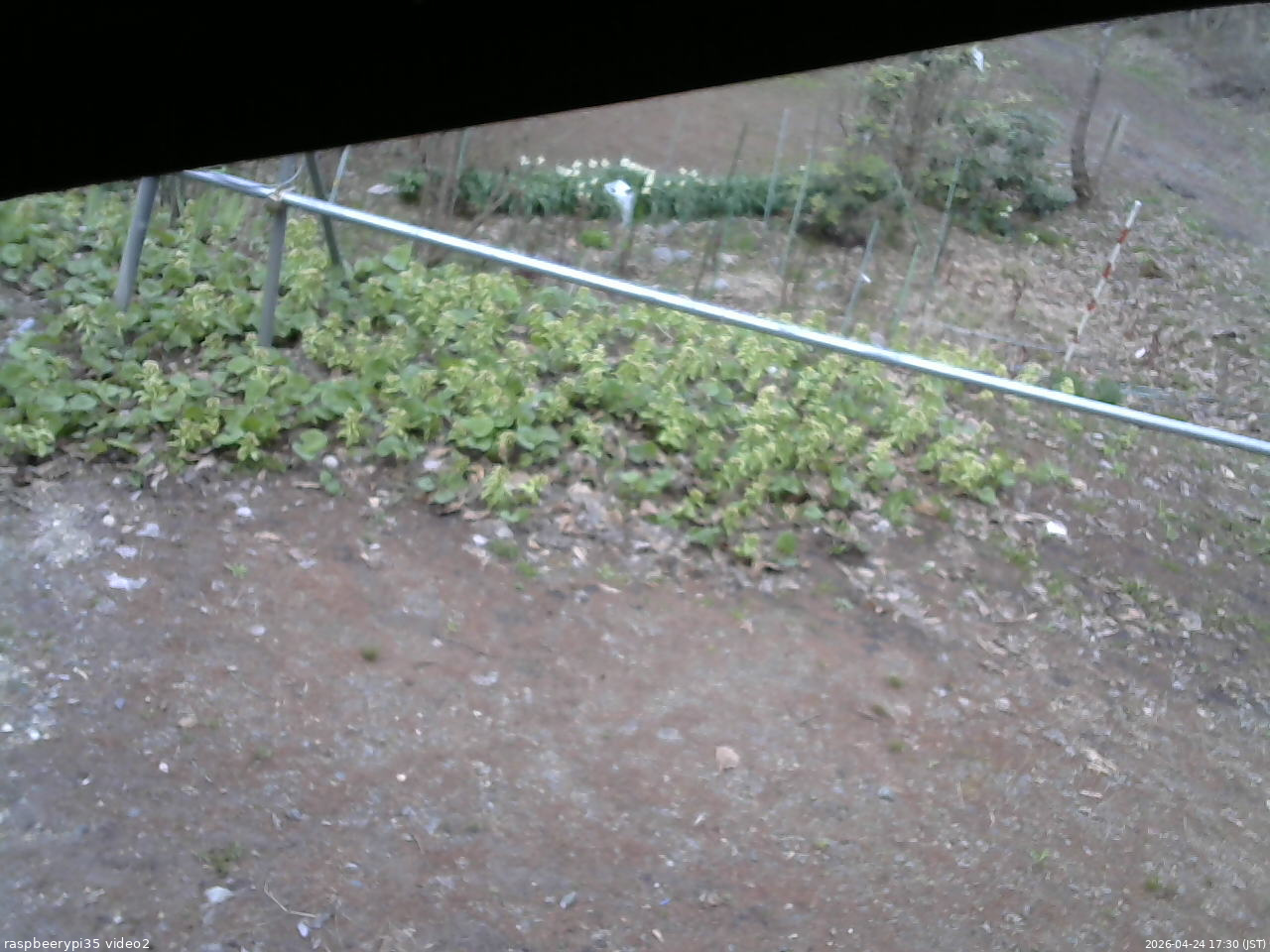 長野県菅平高原 ゆたか山荘 駐車場 2026/04/24 17:30