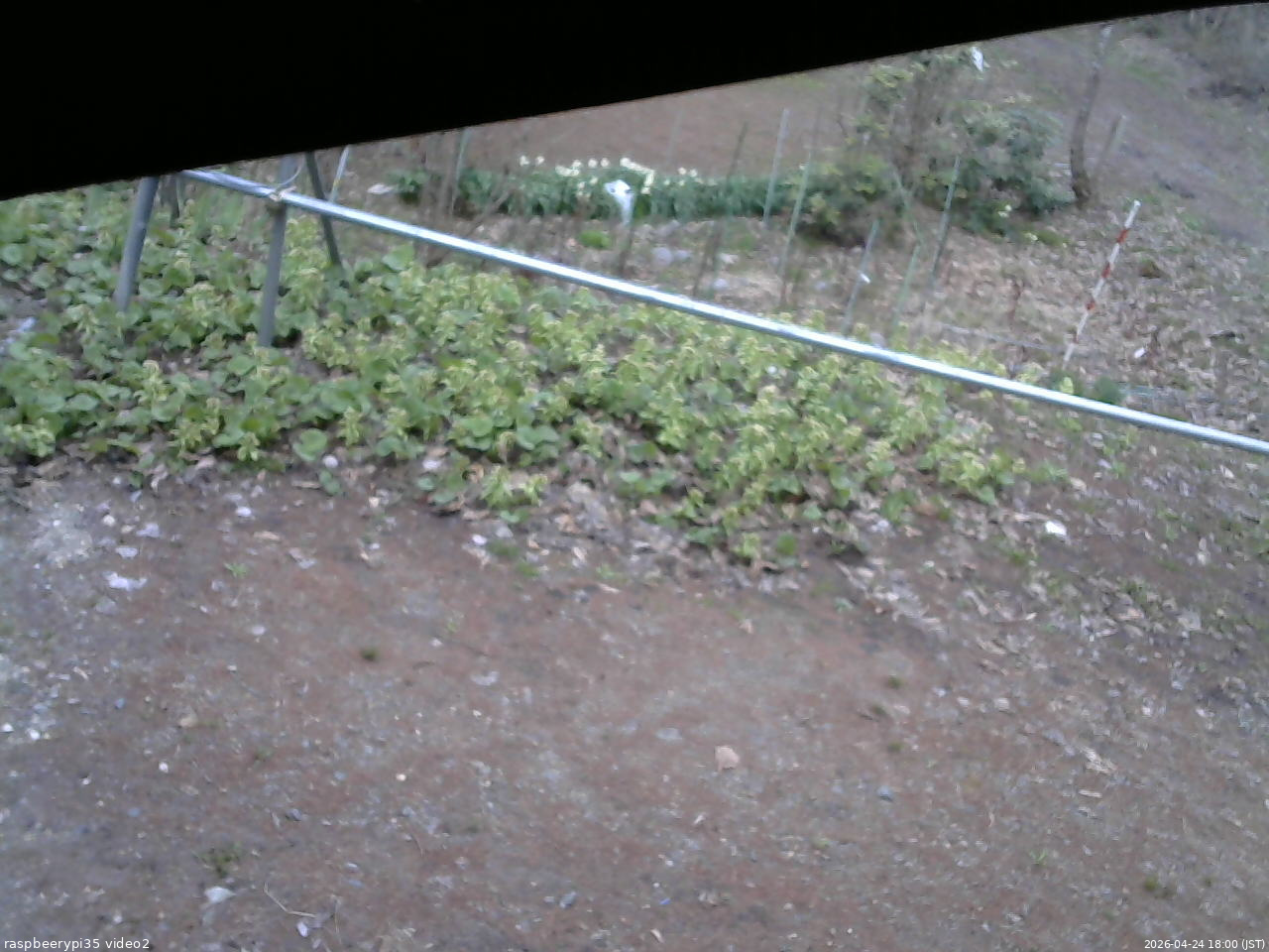 長野県菅平高原 ゆたか山荘 駐車場 2026/04/24 18:00