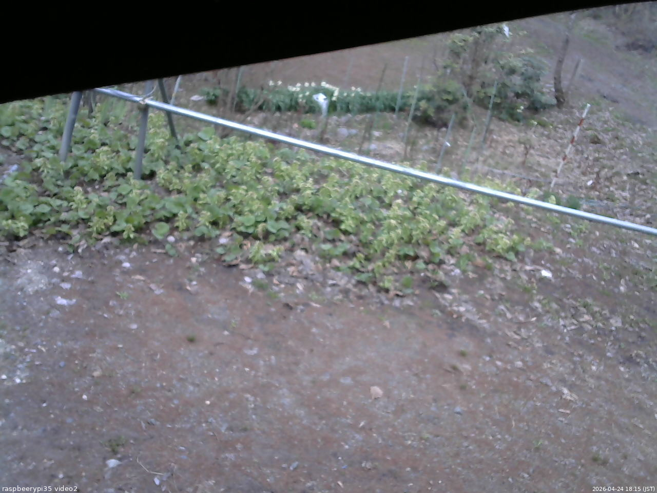 長野県菅平高原 ゆたか山荘 駐車場 2026/04/24 18:15