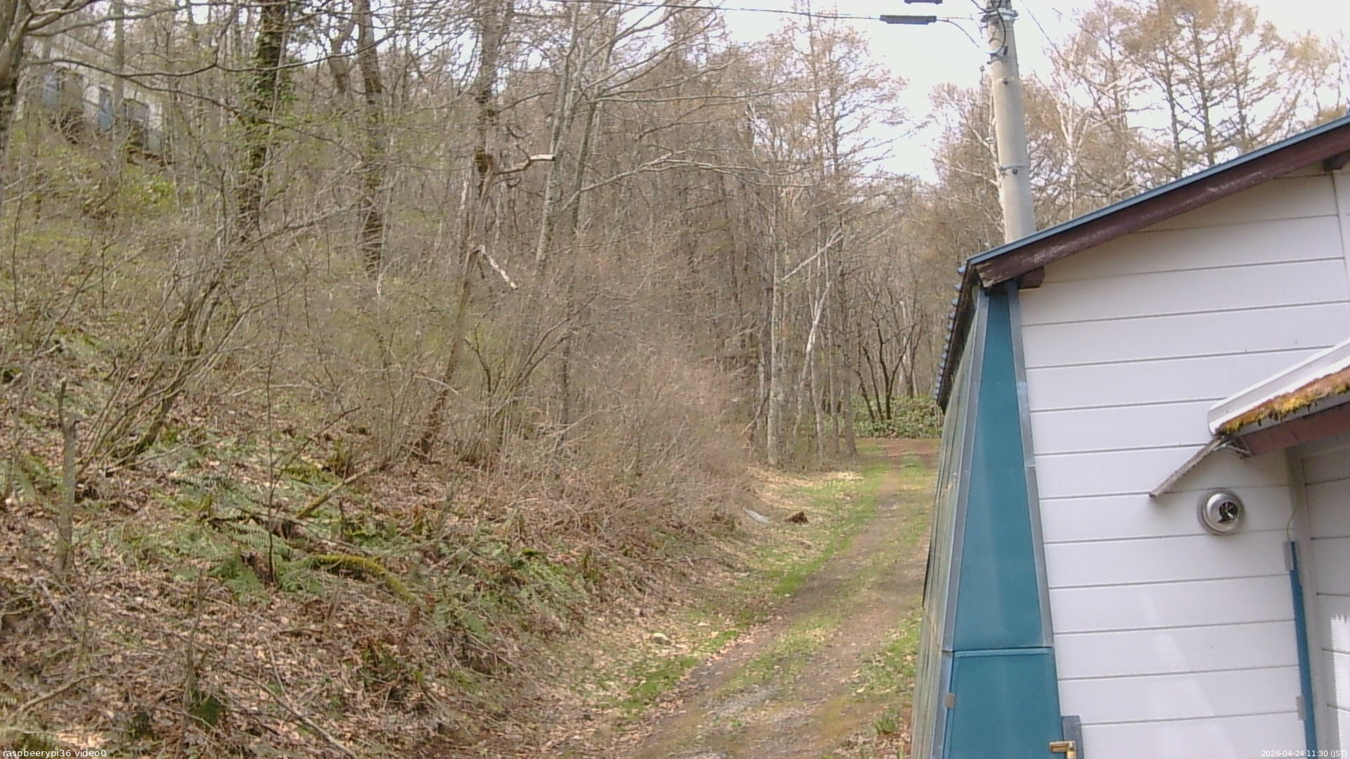 長野県菅平高原 ゆたか山荘 ゆたか山荘 2026/04/24 11:30