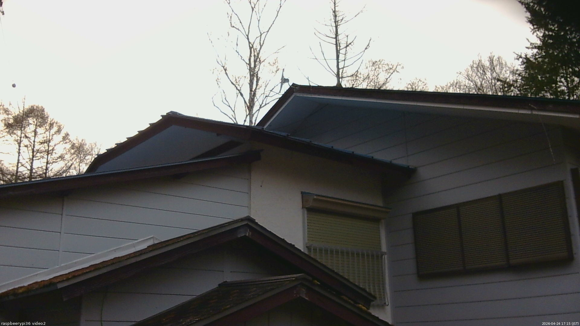 長野県菅平高原 ゆたか山荘 駐車場奥 2026/04/24 17:15