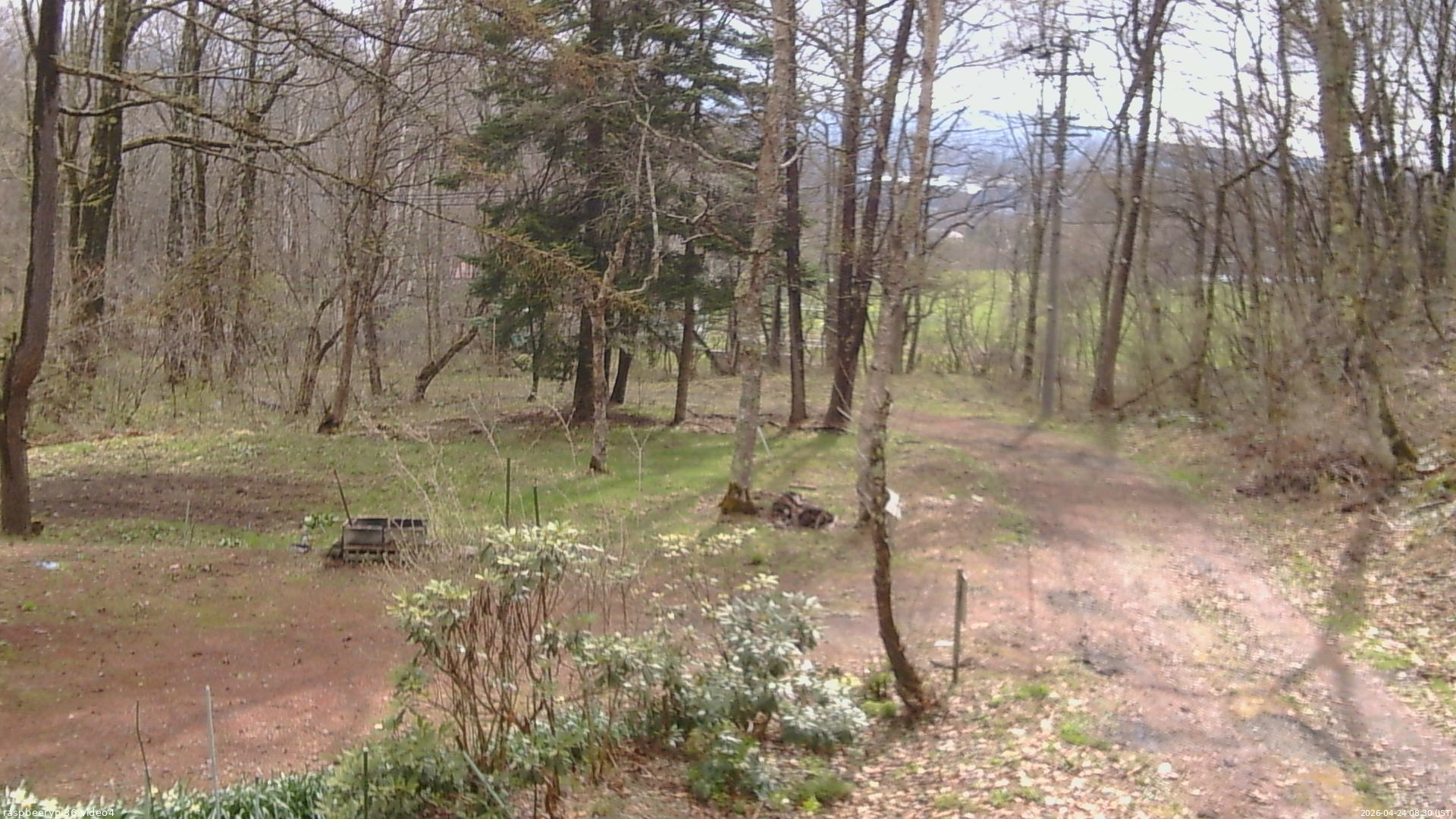長野県菅平高原 ゆたか山荘 坂上 2026/04/24 08:30