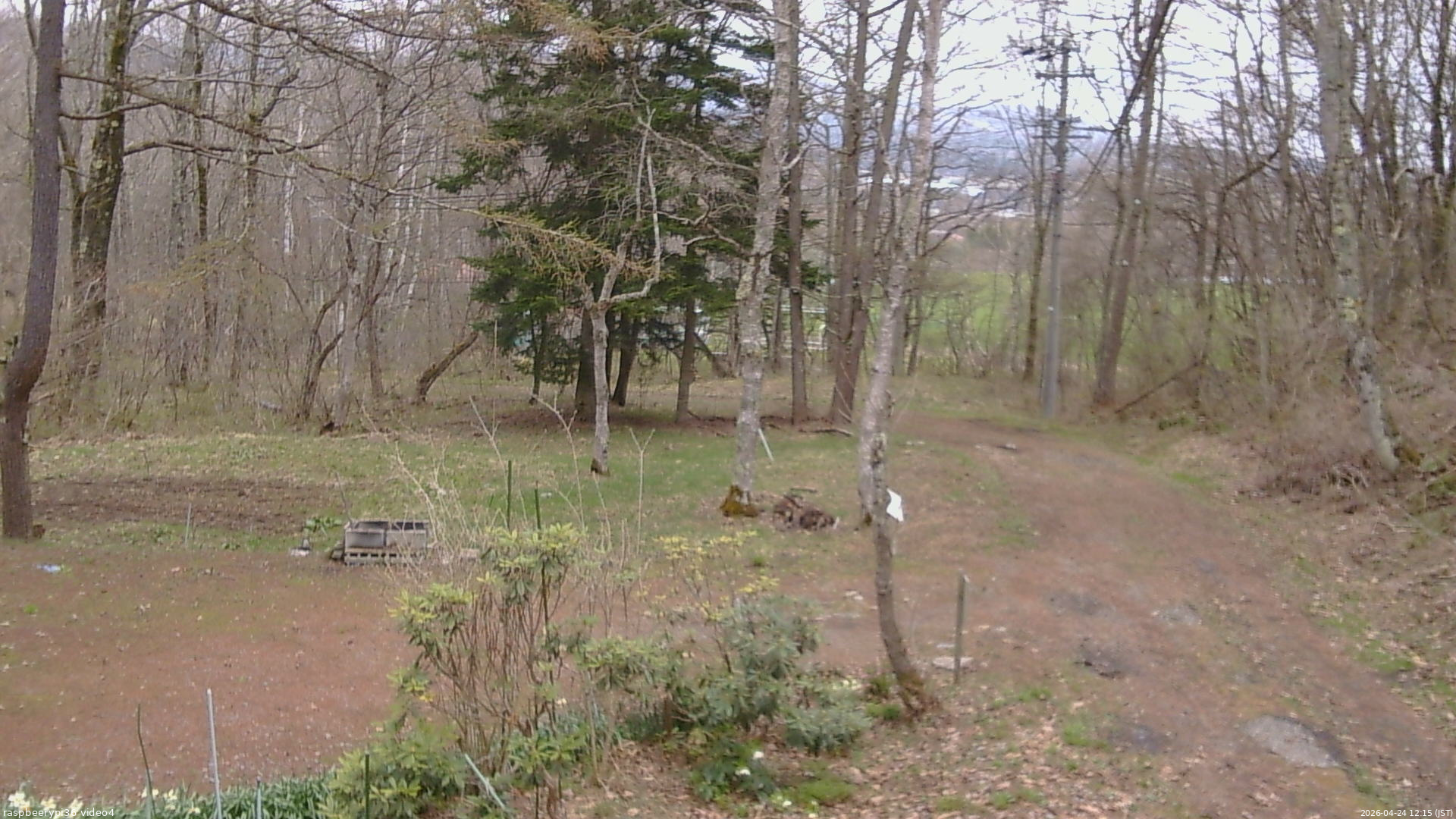 長野県菅平高原 ゆたか山荘 坂上 2026/04/24 12:15