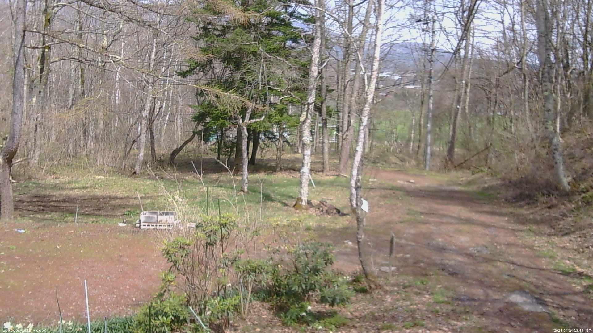 長野県菅平高原 ゆたか山荘 坂上 2026/04/24 13:45