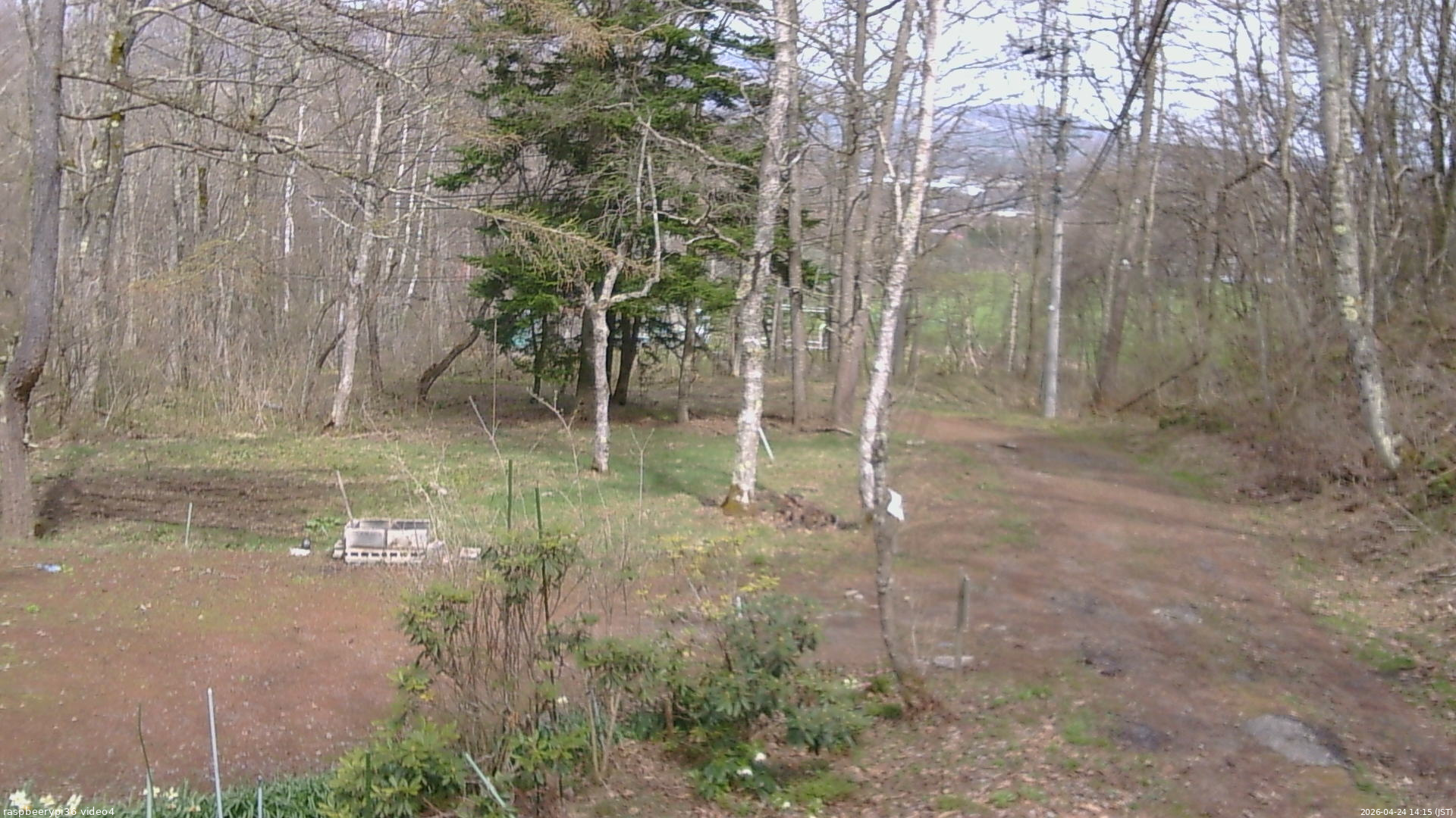 長野県菅平高原 ゆたか山荘 坂上 2026/04/24 14:15
