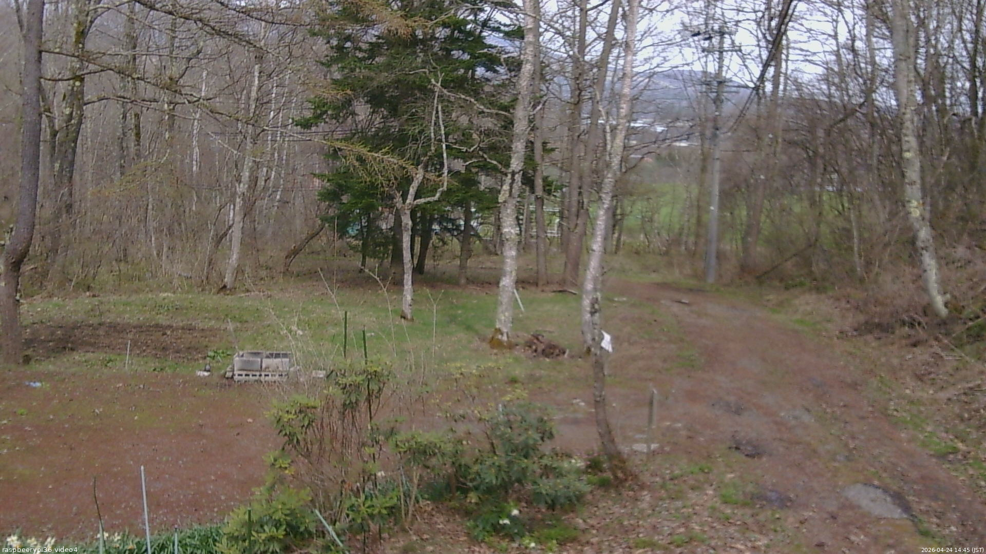 長野県菅平高原 ゆたか山荘 坂上 2026/04/24 14:45