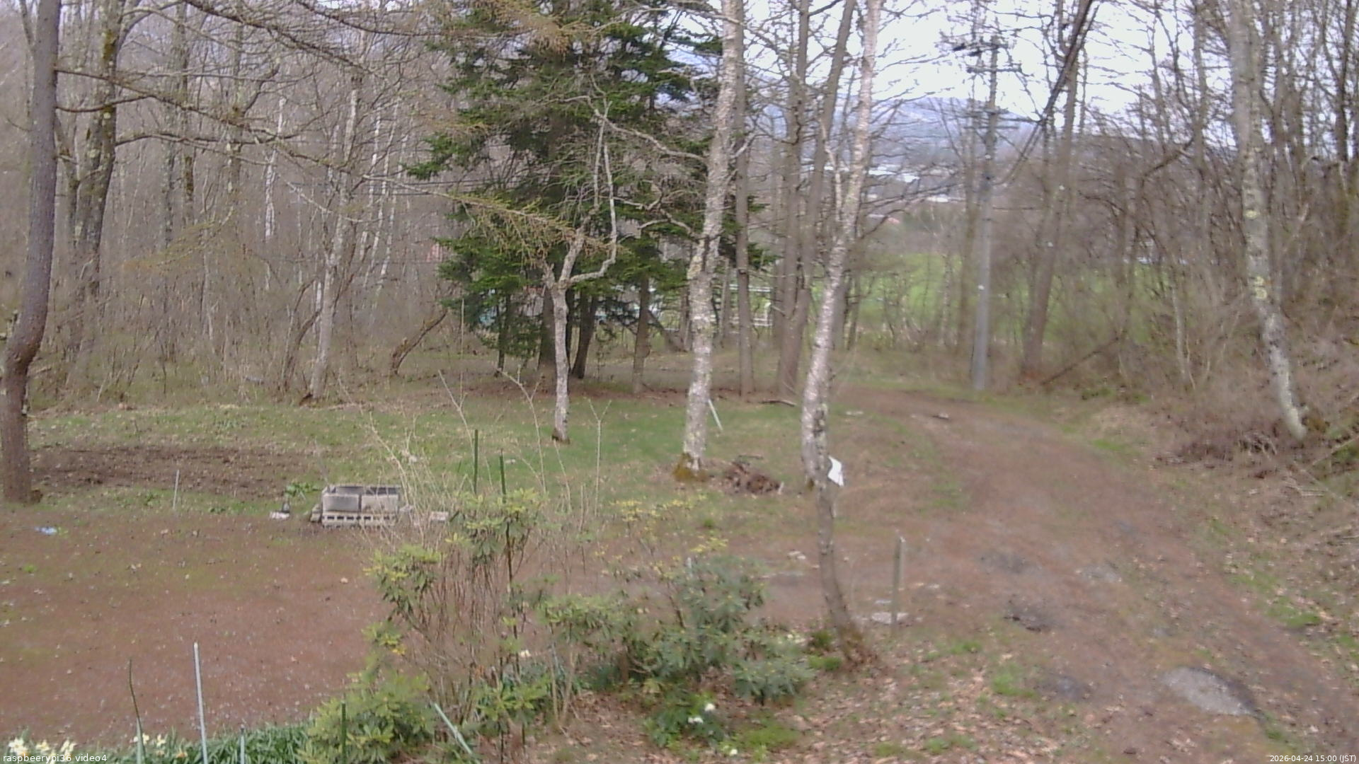 長野県菅平高原 ゆたか山荘 坂上 2026/04/24 15:00